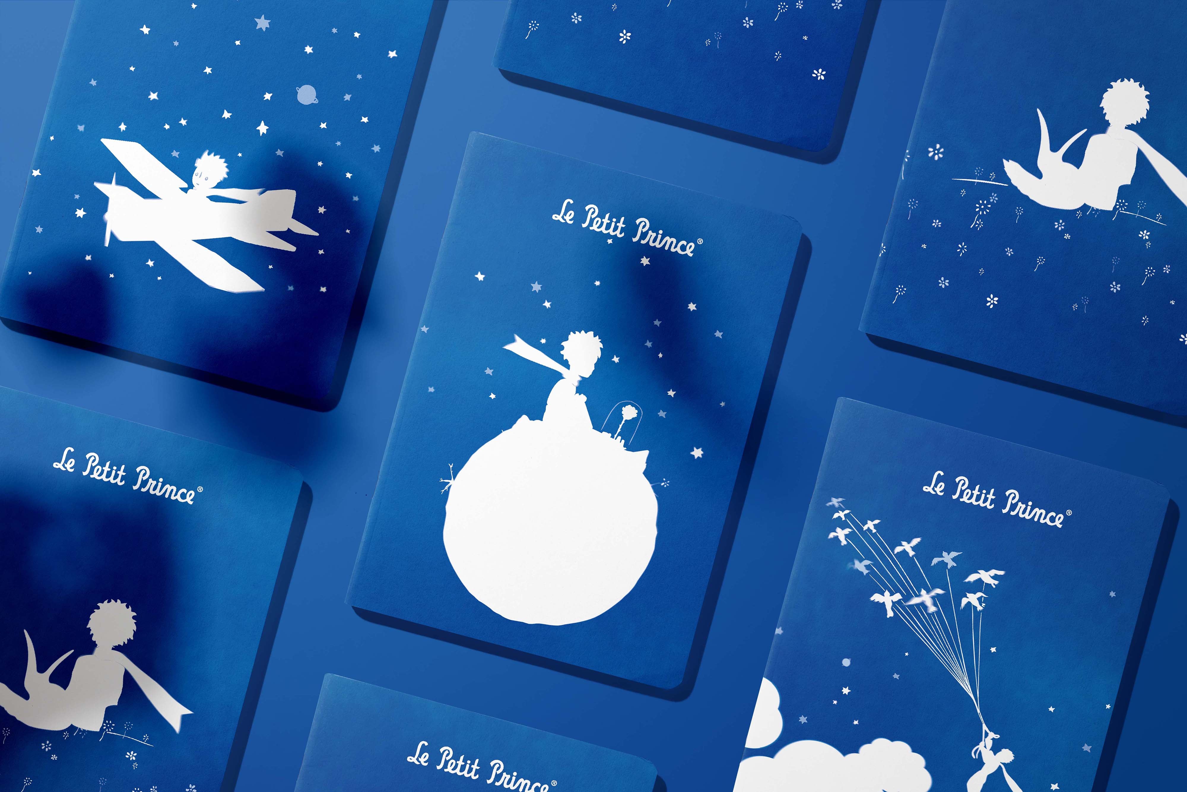 Carnets Le Petit Prince