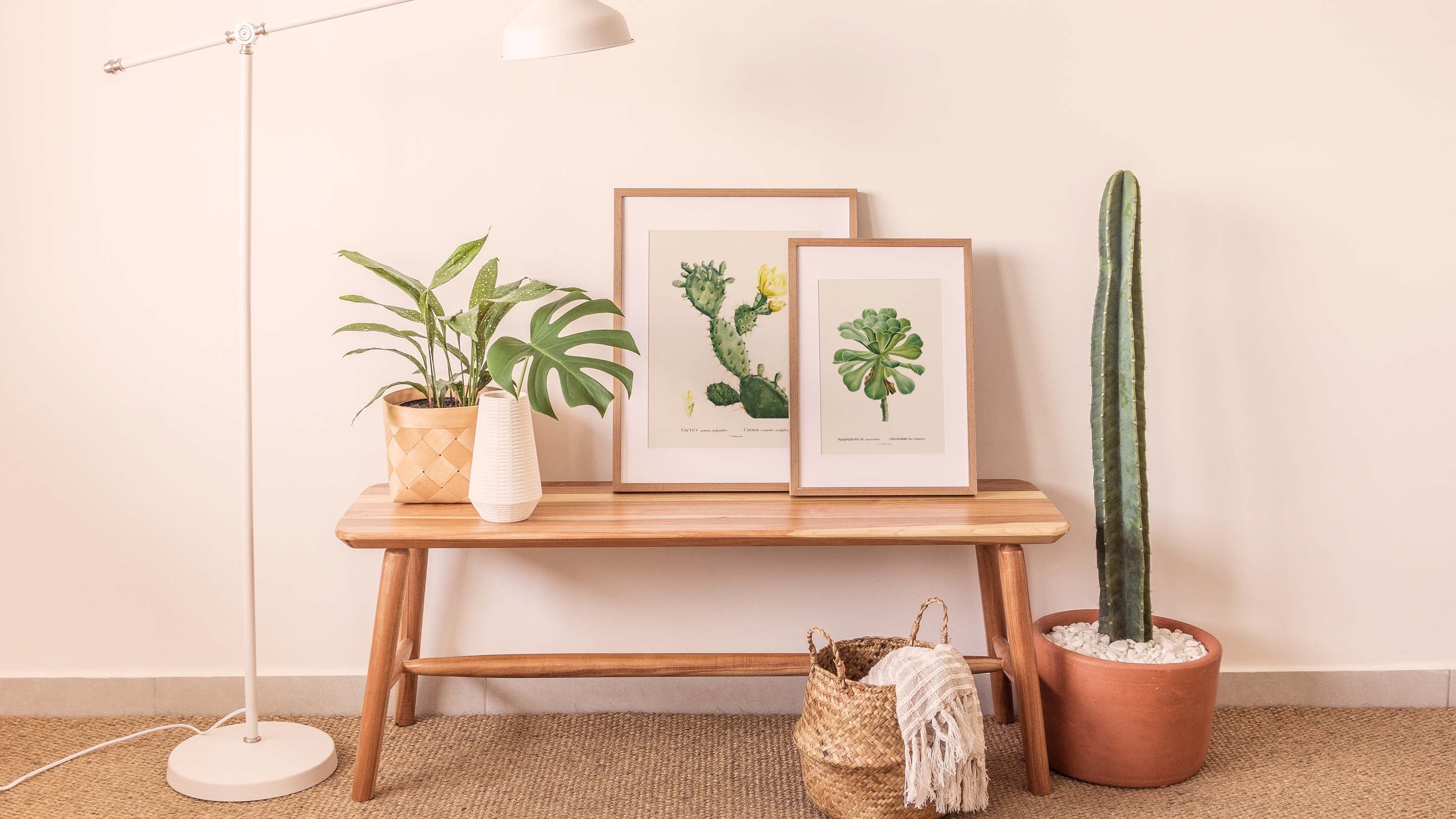 Affiches plantes exotiques & tropicales