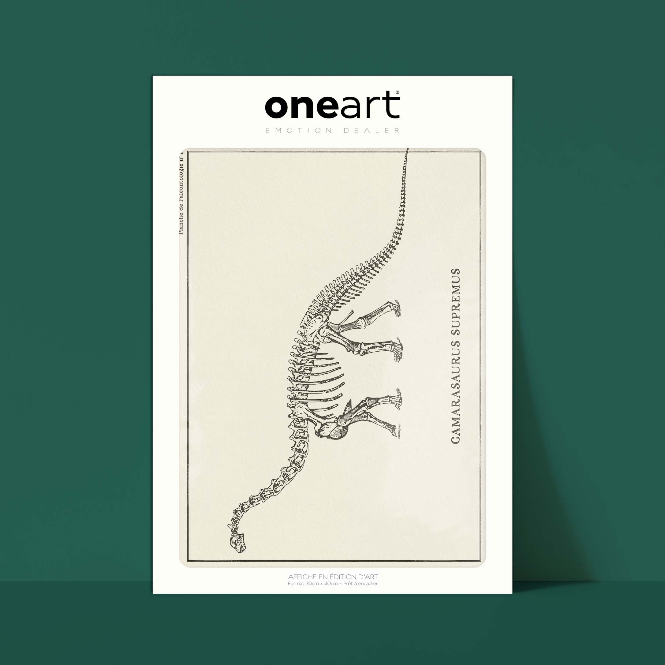 Affiche "Les Imparfaits" Dinosaure - Squelette de Camarasaurus