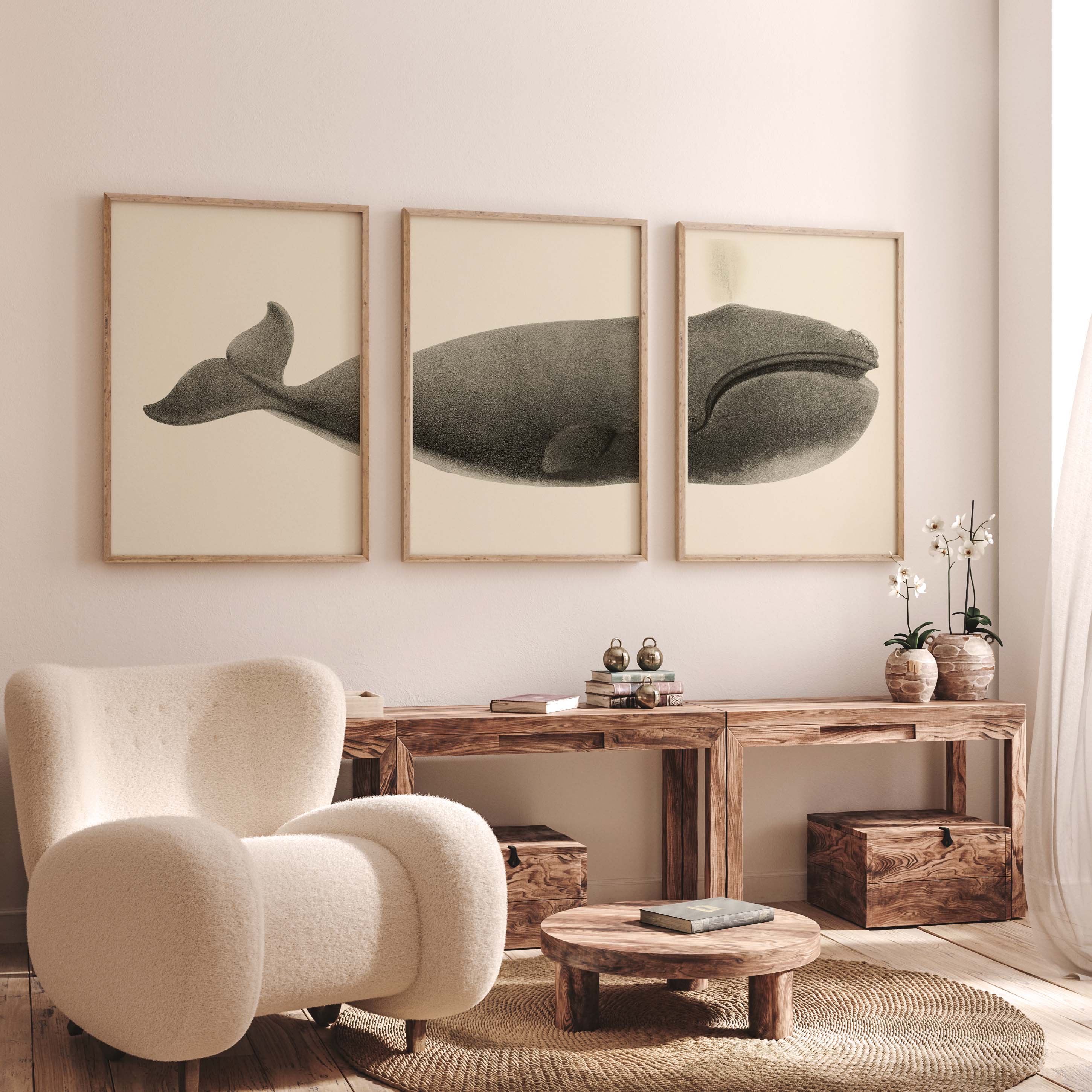 Triptyque - La baleine franche du pacifique nord-oneart.fr