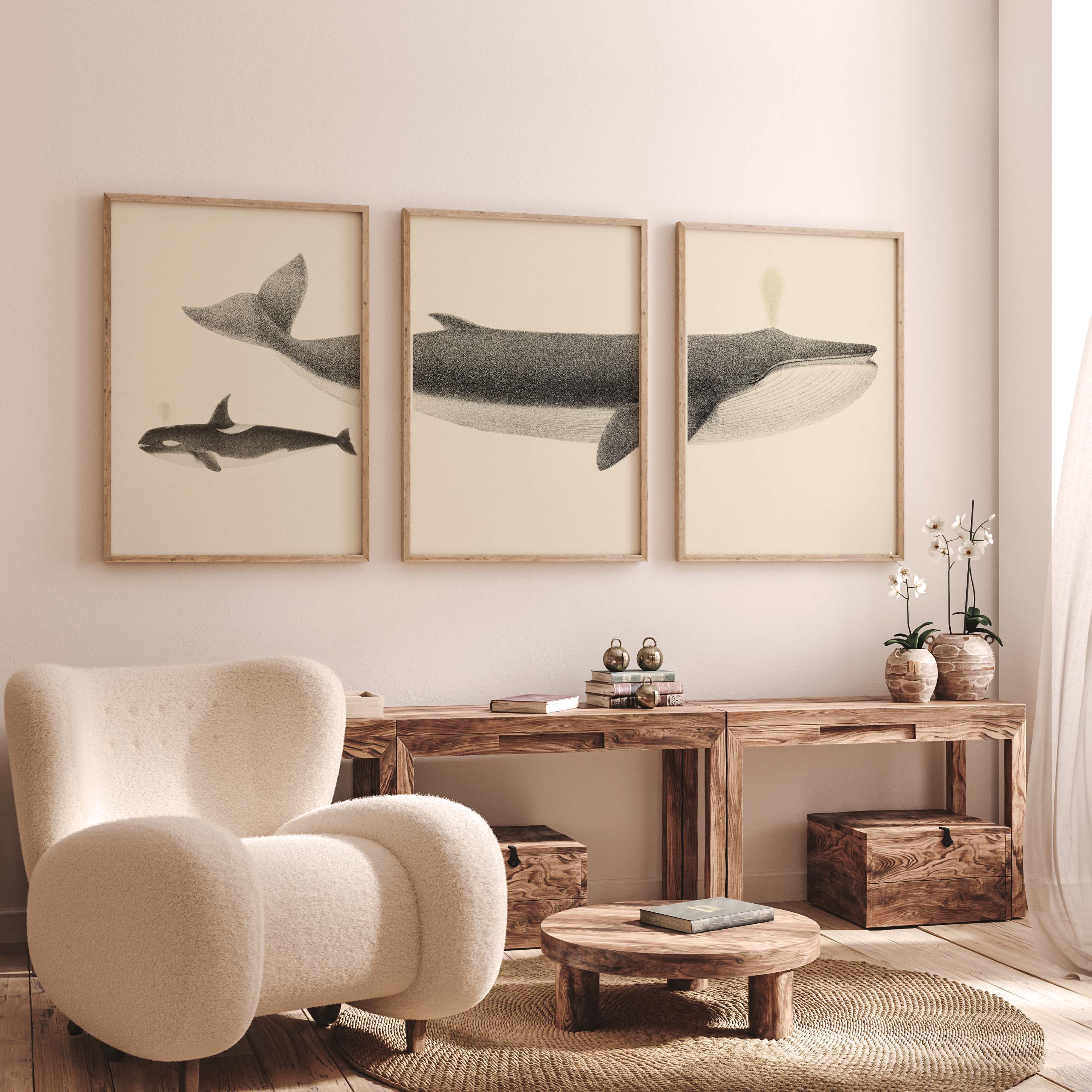 Triptyque - Le rorqual commun et l'orque-oneart.fr