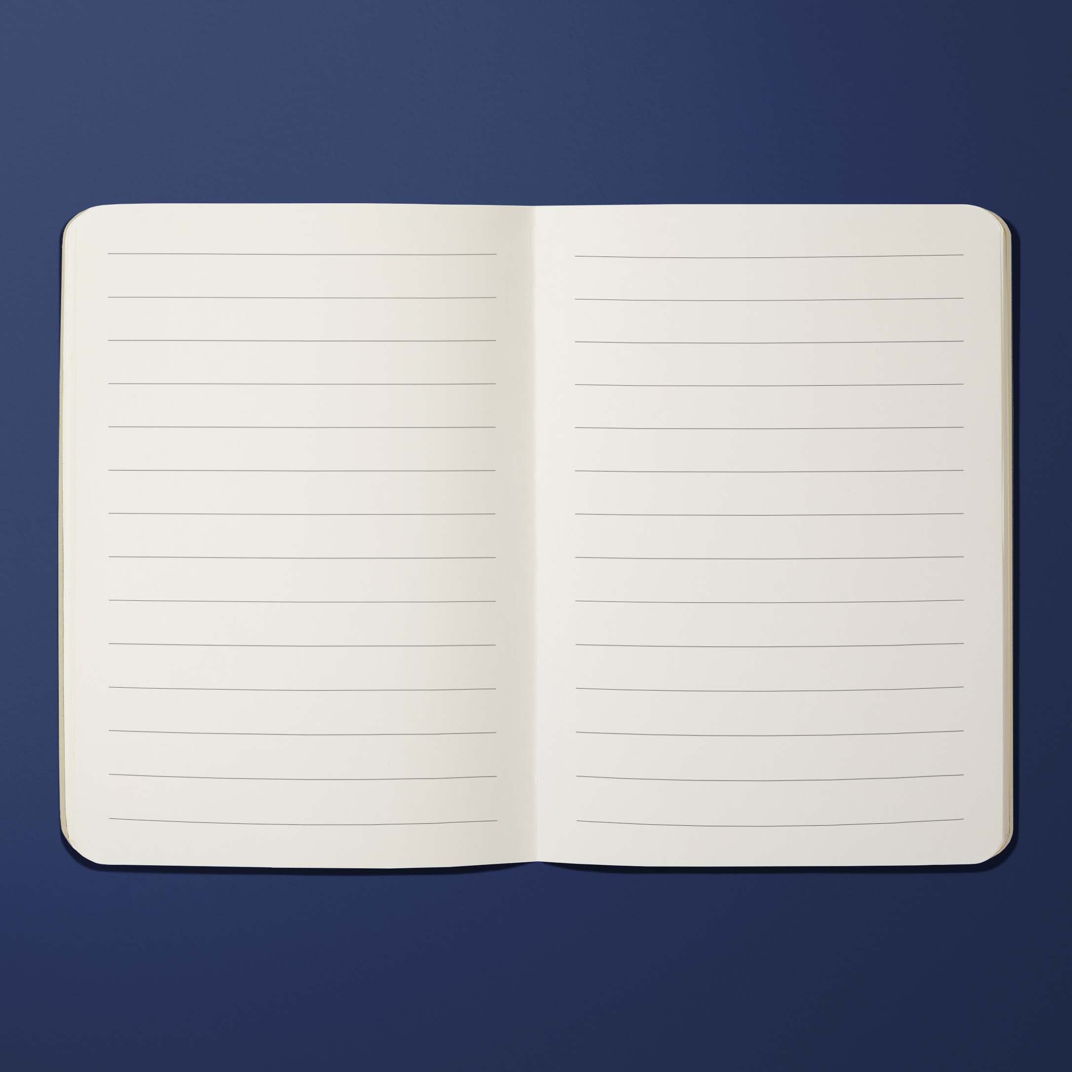 Air France Legend Paris notebook - Tokio, cherry blossoms