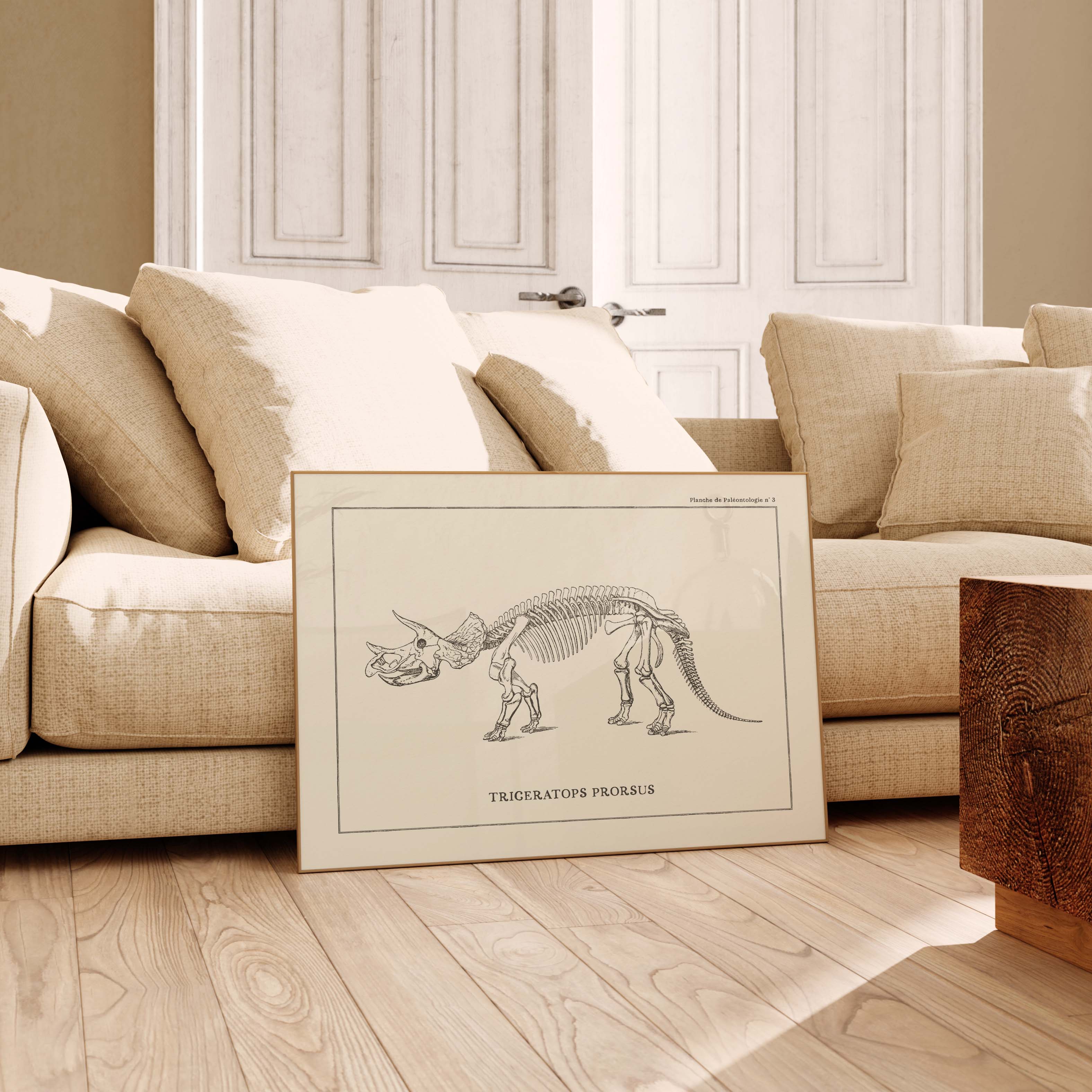 Affiche Dinosaure - Squelette de Triceratops-oneart.fr