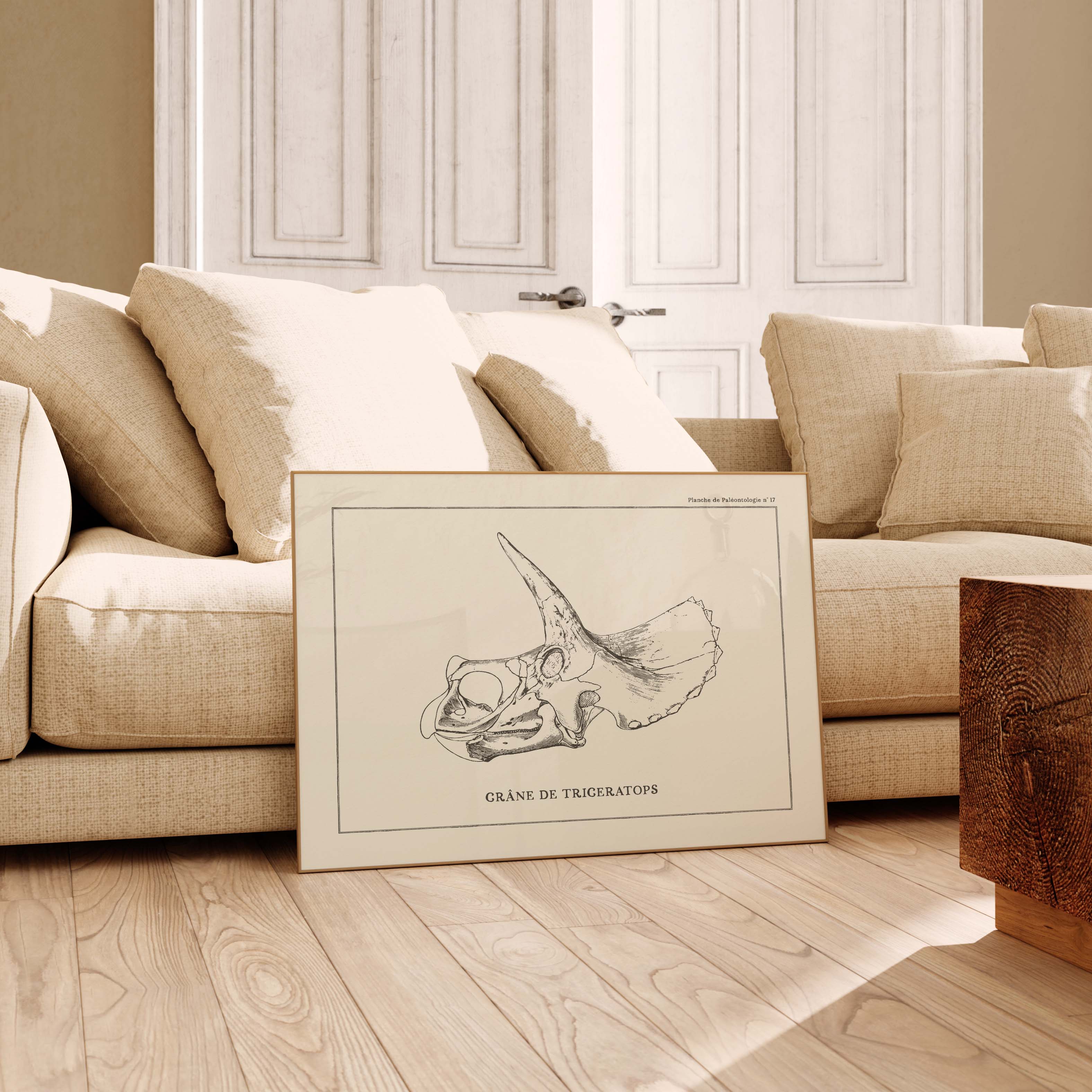 Affiche Dinosaure - Crâne de triceratops-oneart.fr