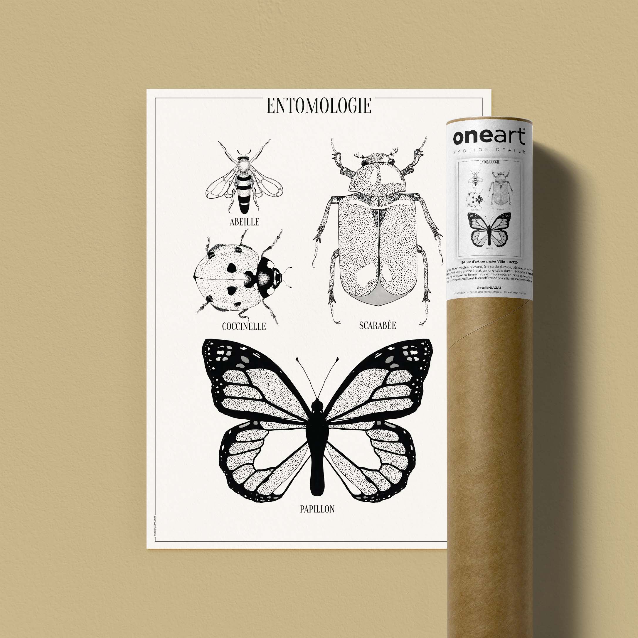 Affiche atelierDAZAT Entomologie-oneart.fr