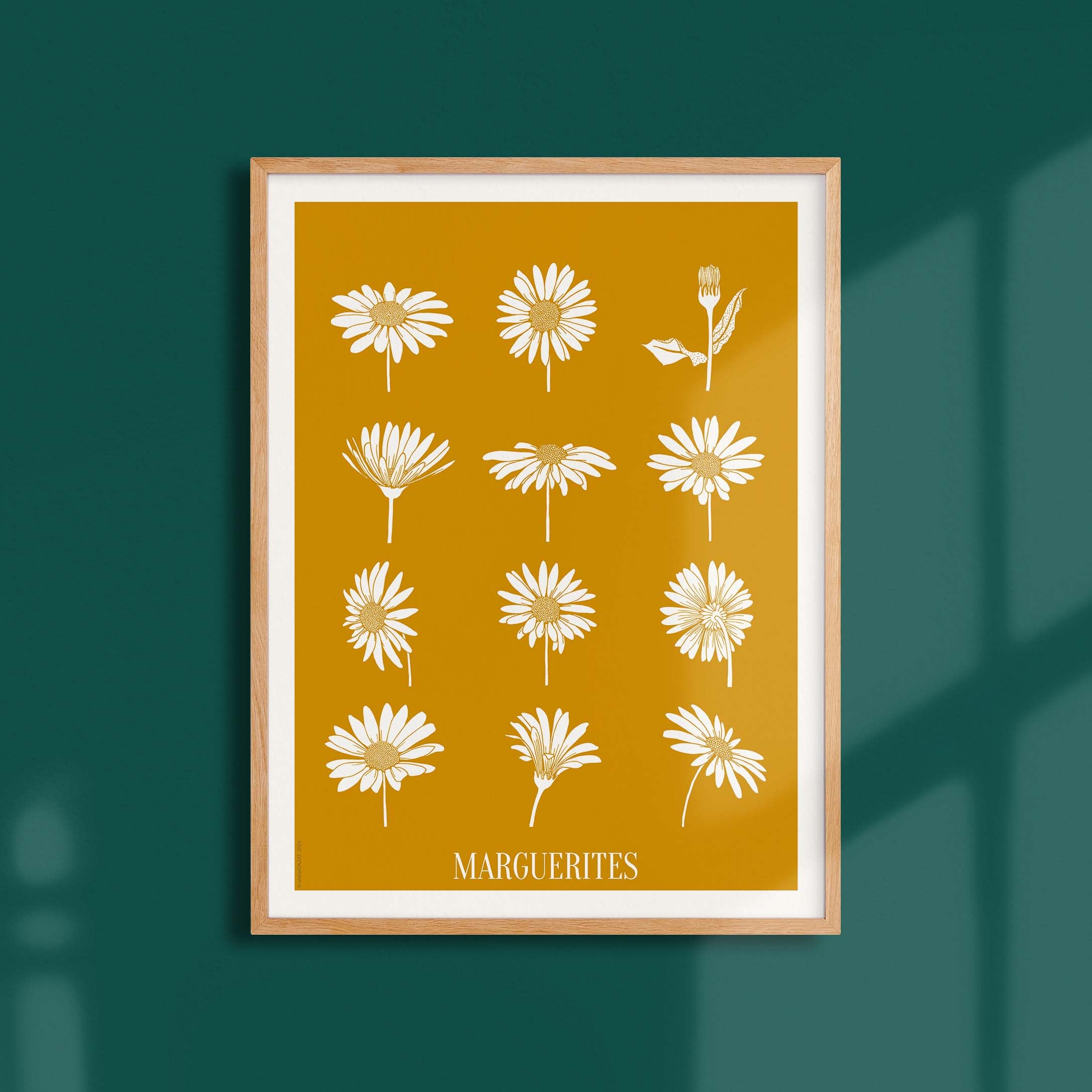 Affiche atelierDAZAT Marguerites coloré