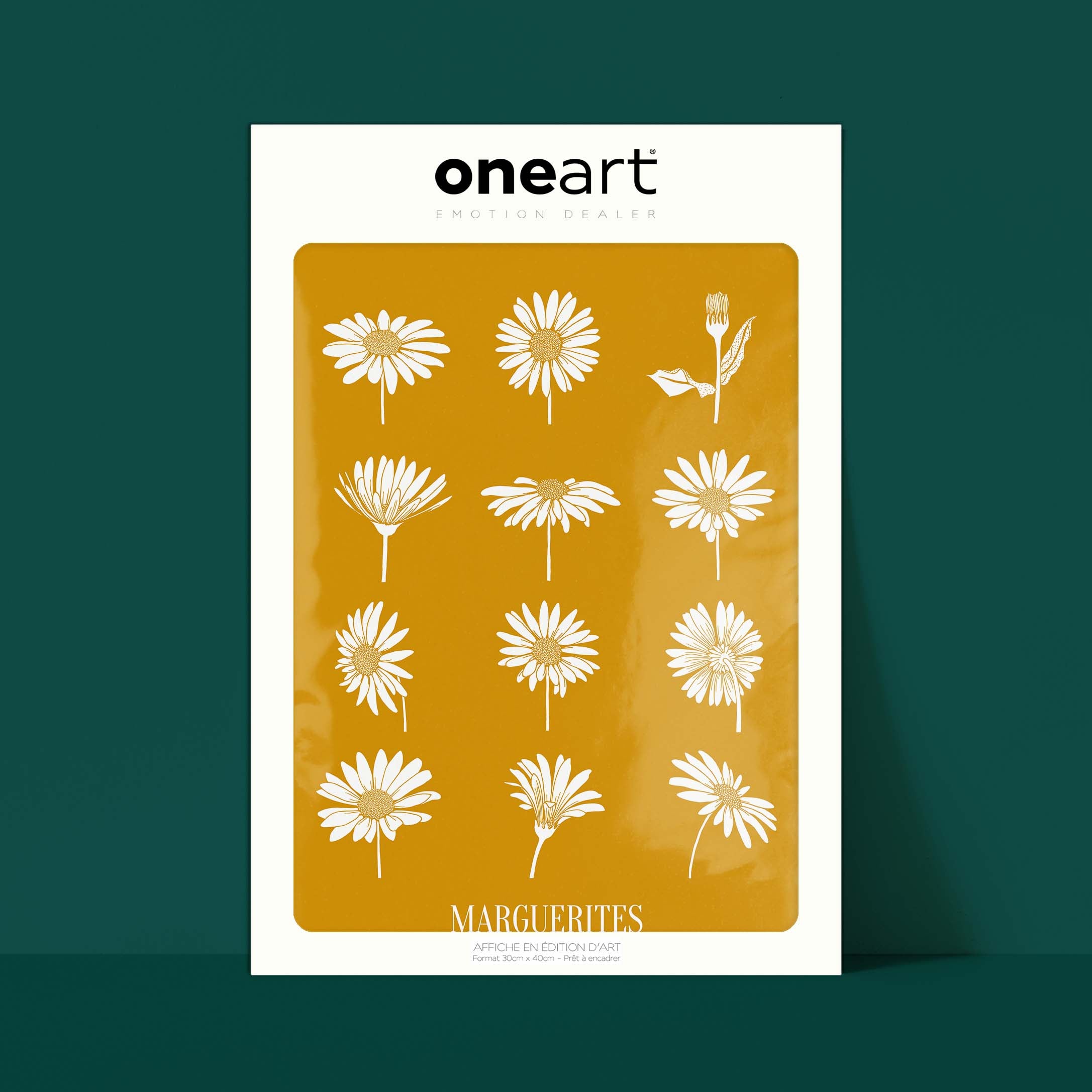 Affiche atelierDAZAT Marguerites coloré