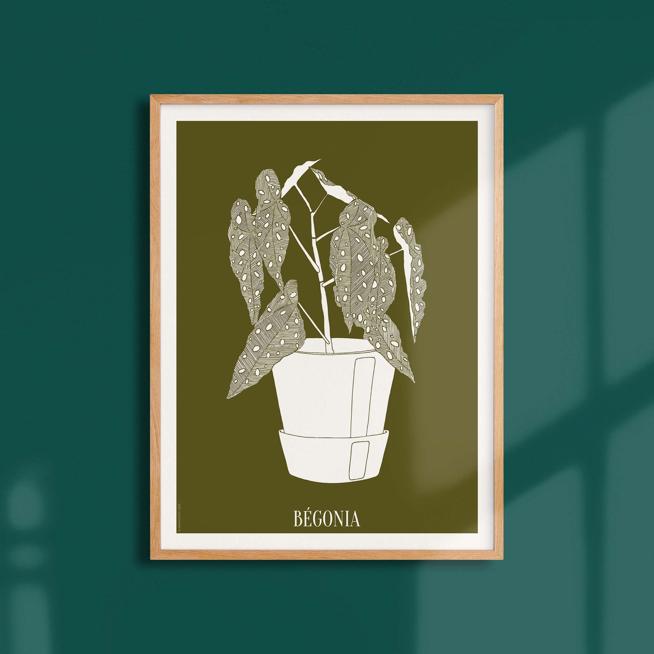 Affiche atelierDAZAT Begonia coloré