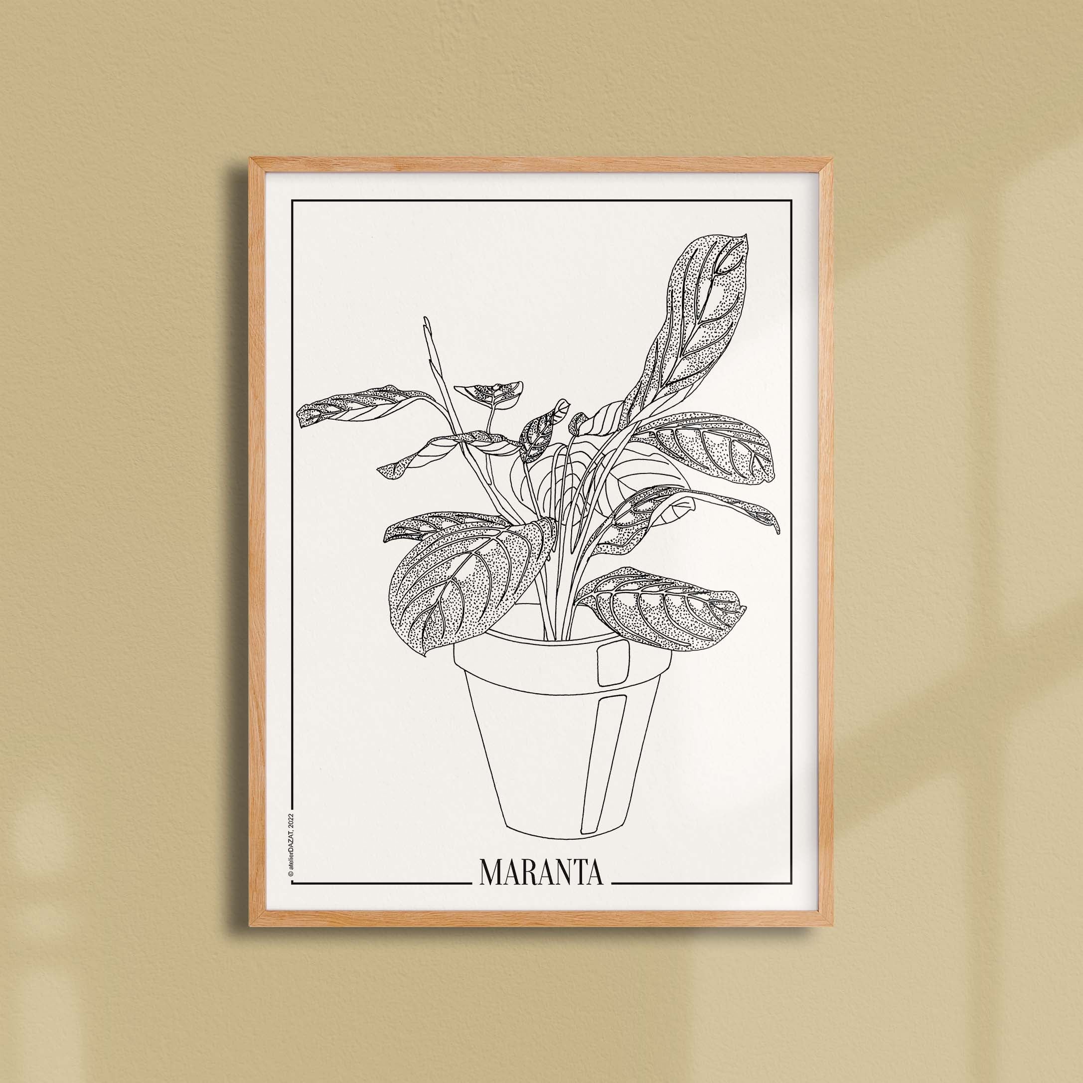 Affiche atelierDAZAT Maranta-oneart.fr