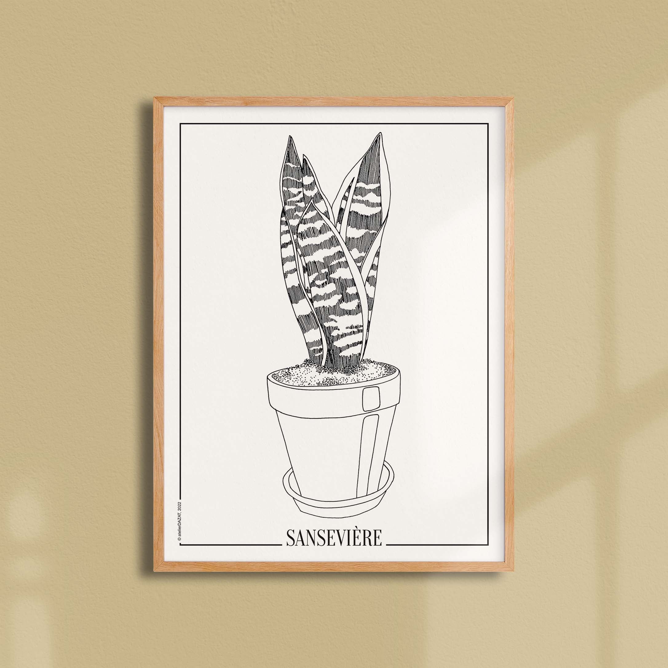 Affiche atelierDAZAT Sansevière-oneart.fr