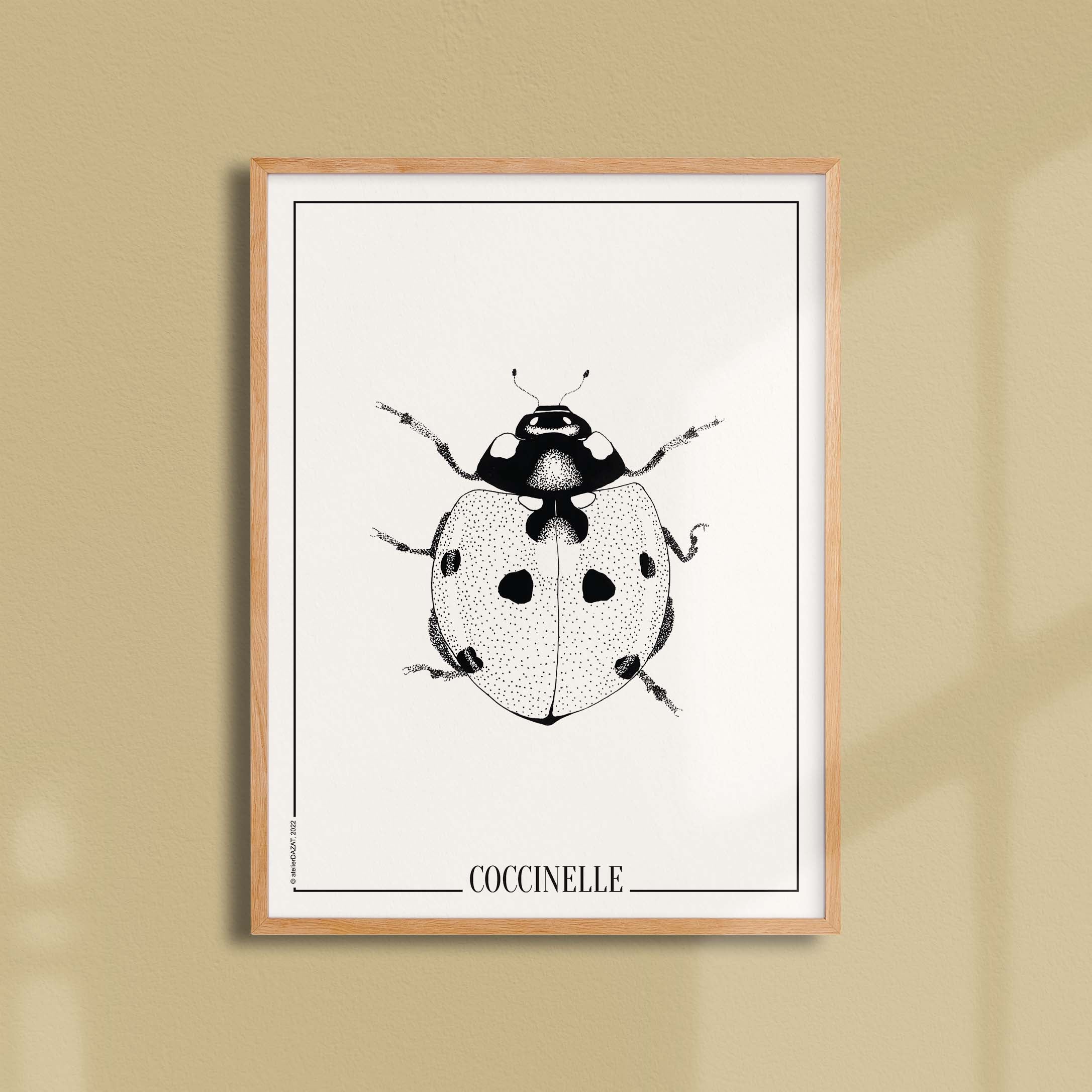 Affiche atelierDAZAT Coccinelle-oneart.fr