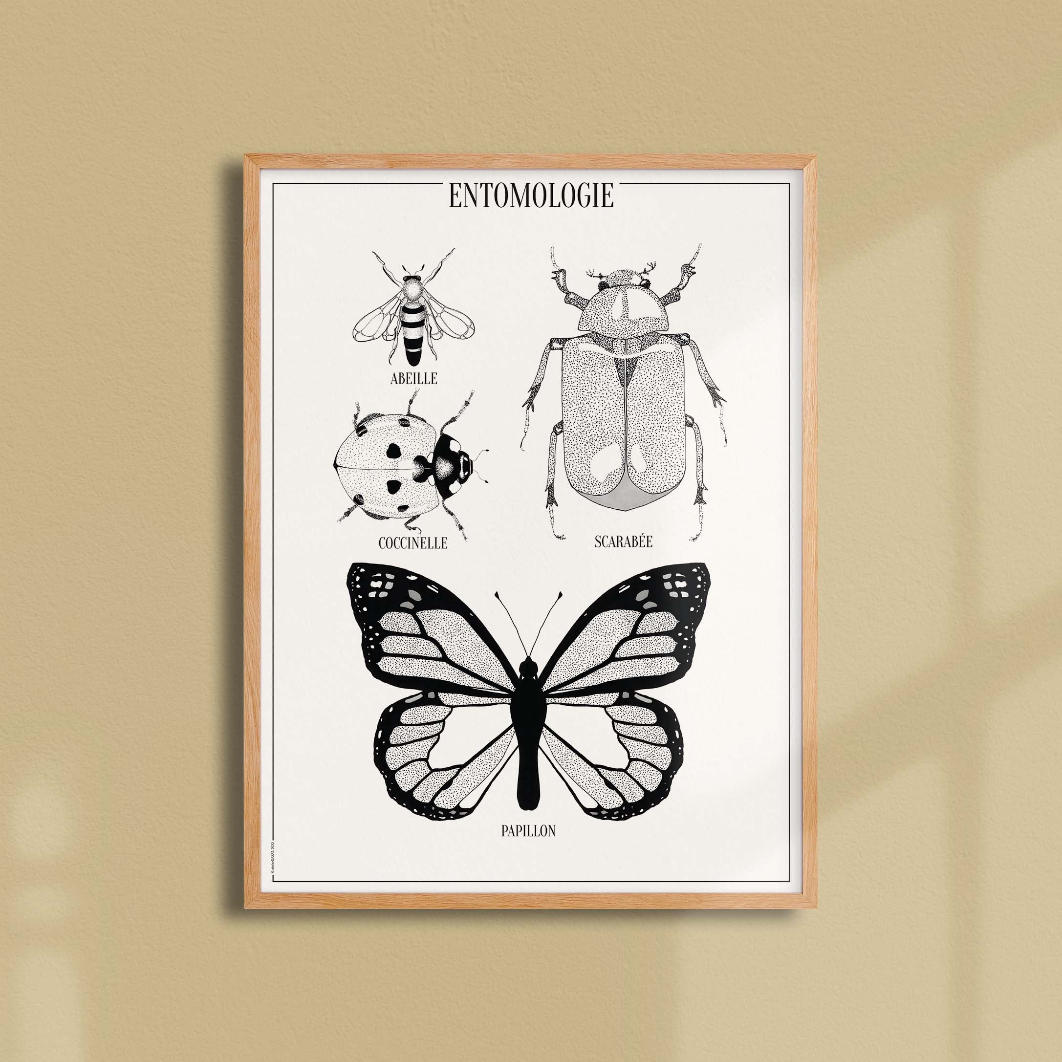 Affiche atelierDAZAT Entomologie-oneart.fr
