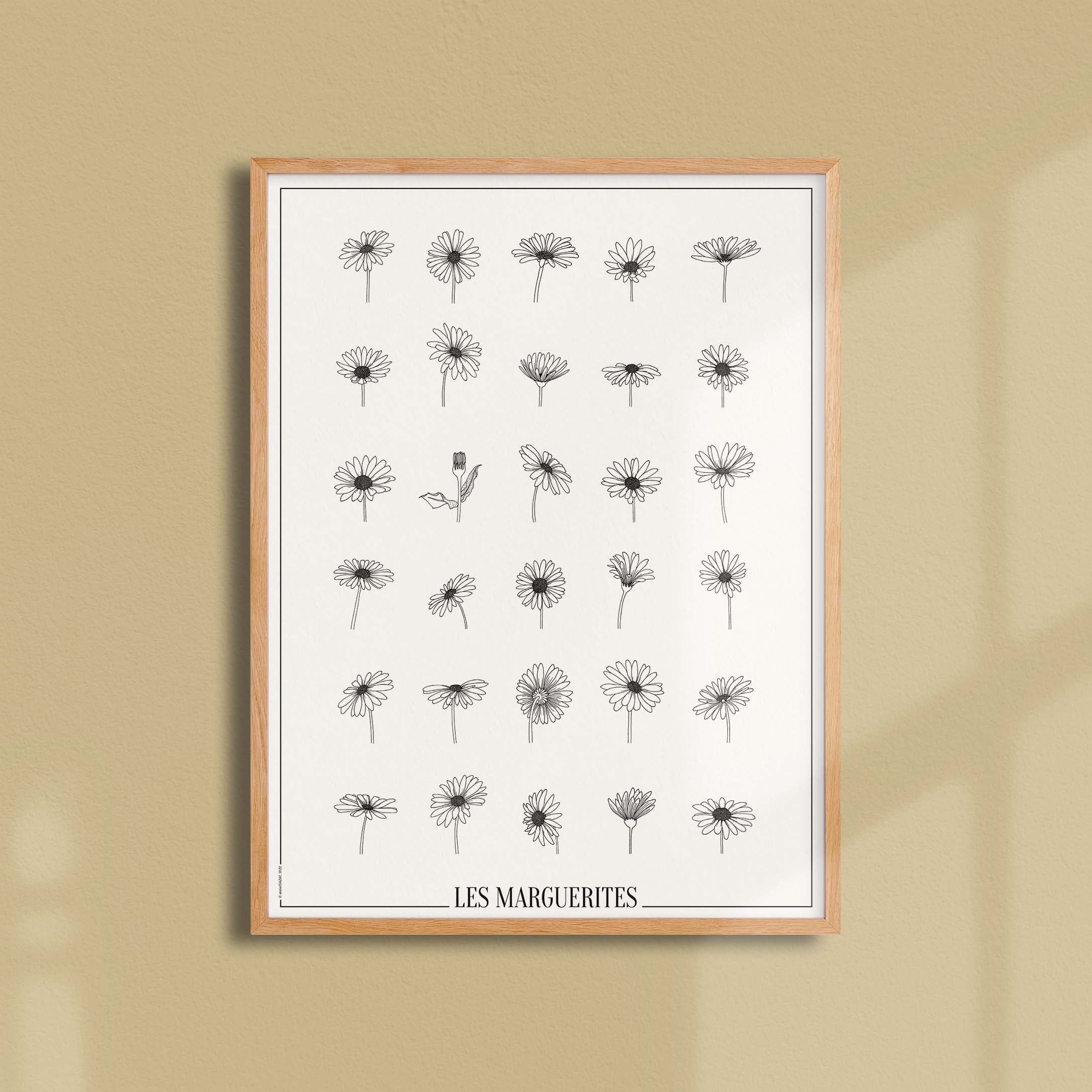 Affiche atelierDAZAT Les marguerites-oneart.fr