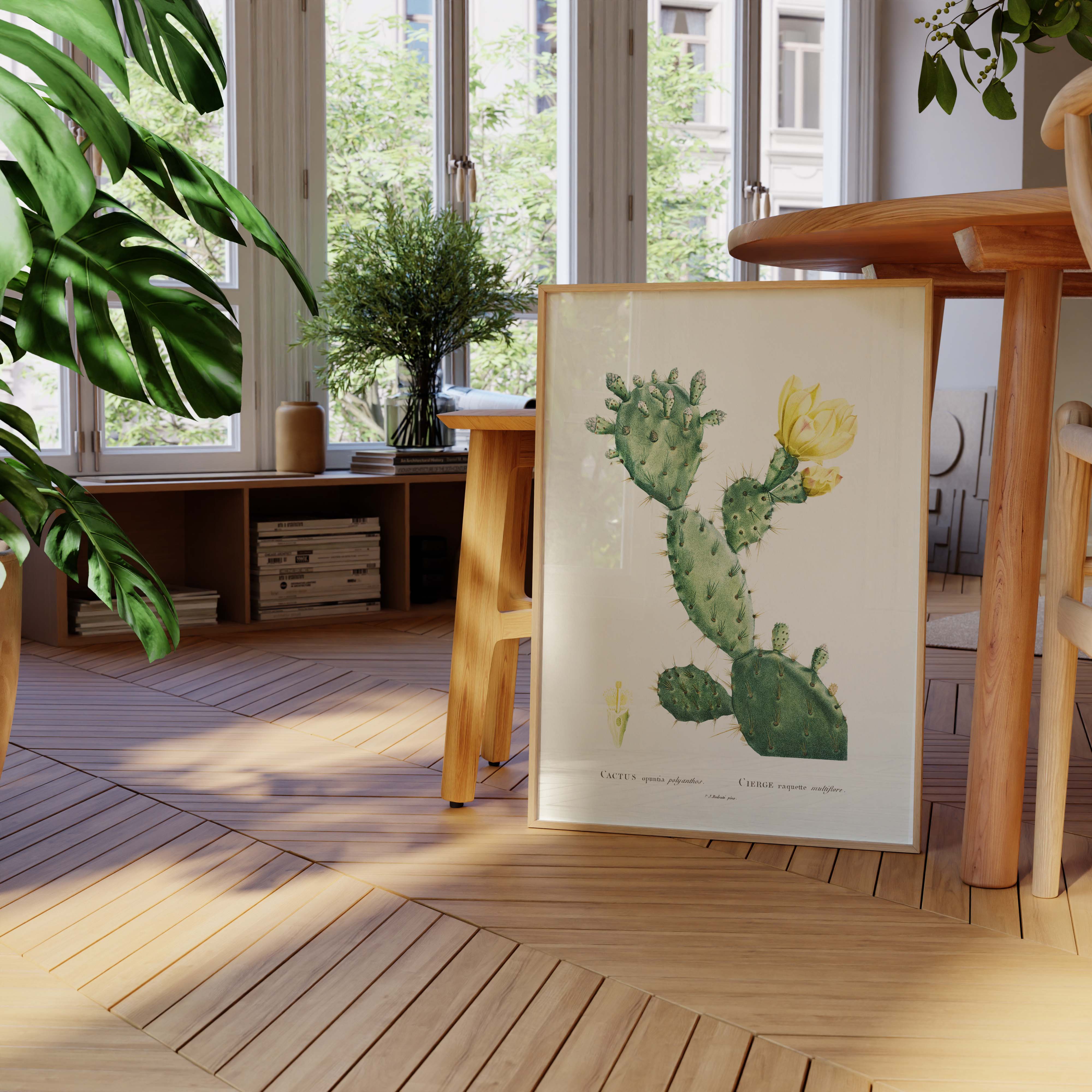 Planche botanique - Cactus opuntia polyanthos-oneart.fr