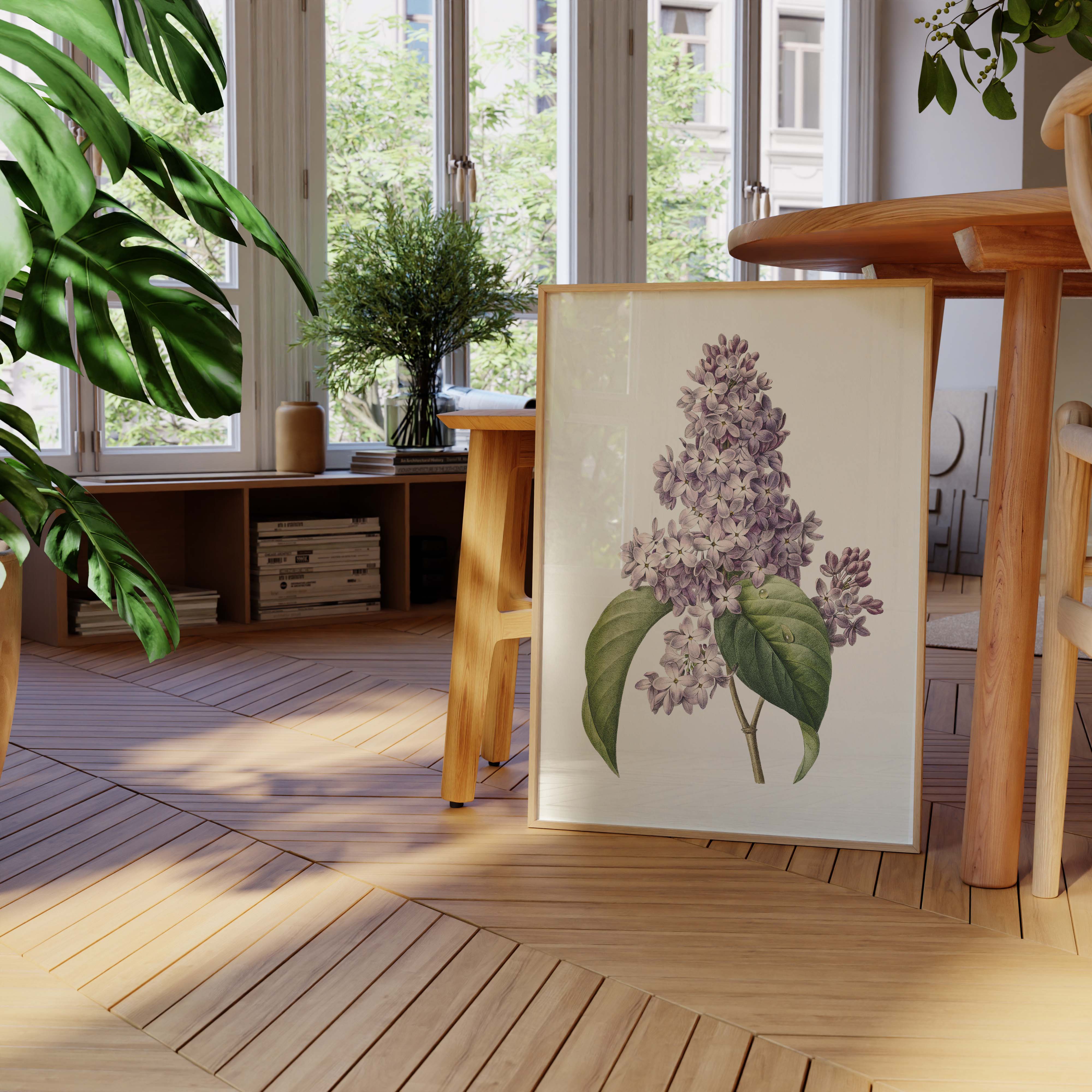 Planche botanique - Lilas-oneart.fr