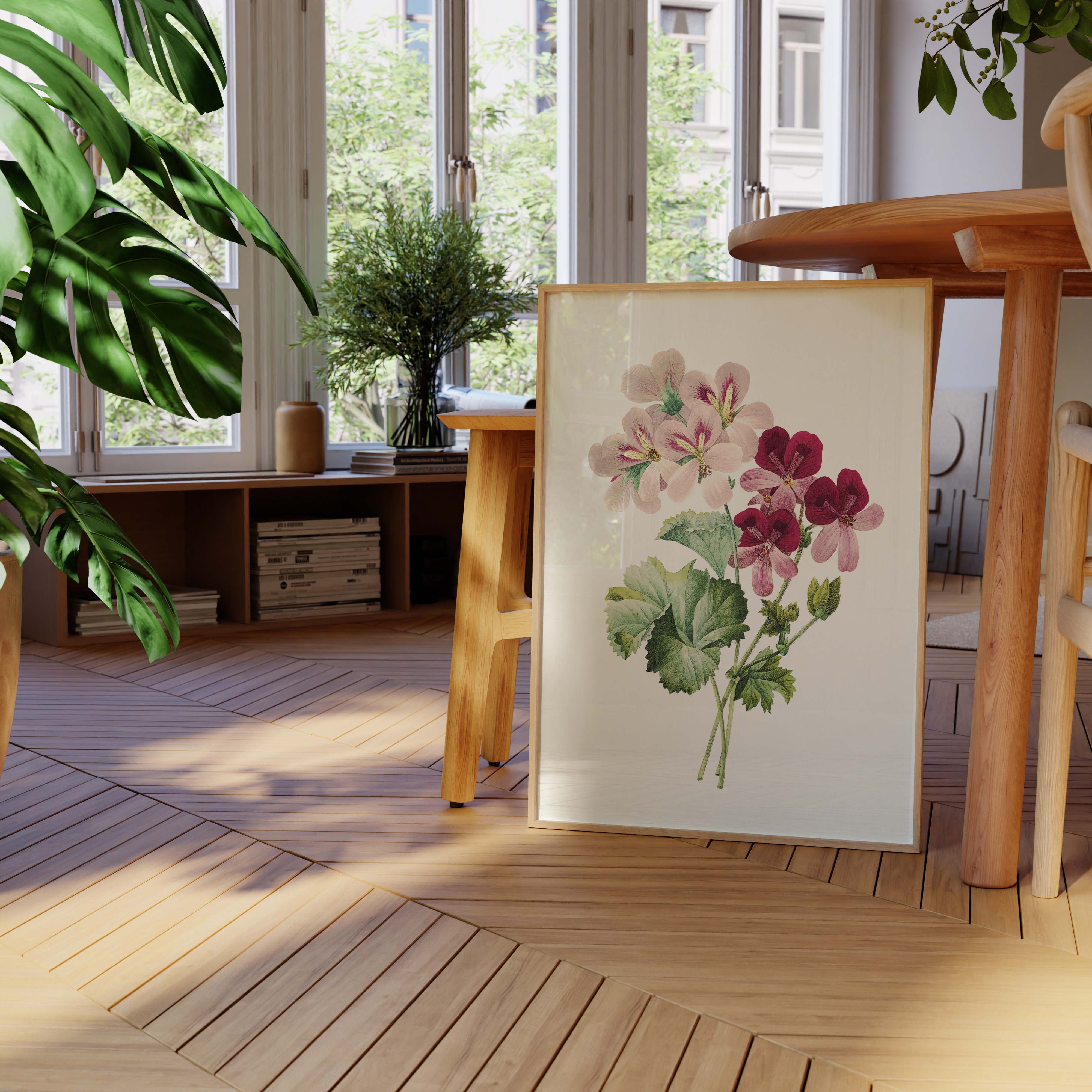 Planche botanique - Geranium-oneart.fr
