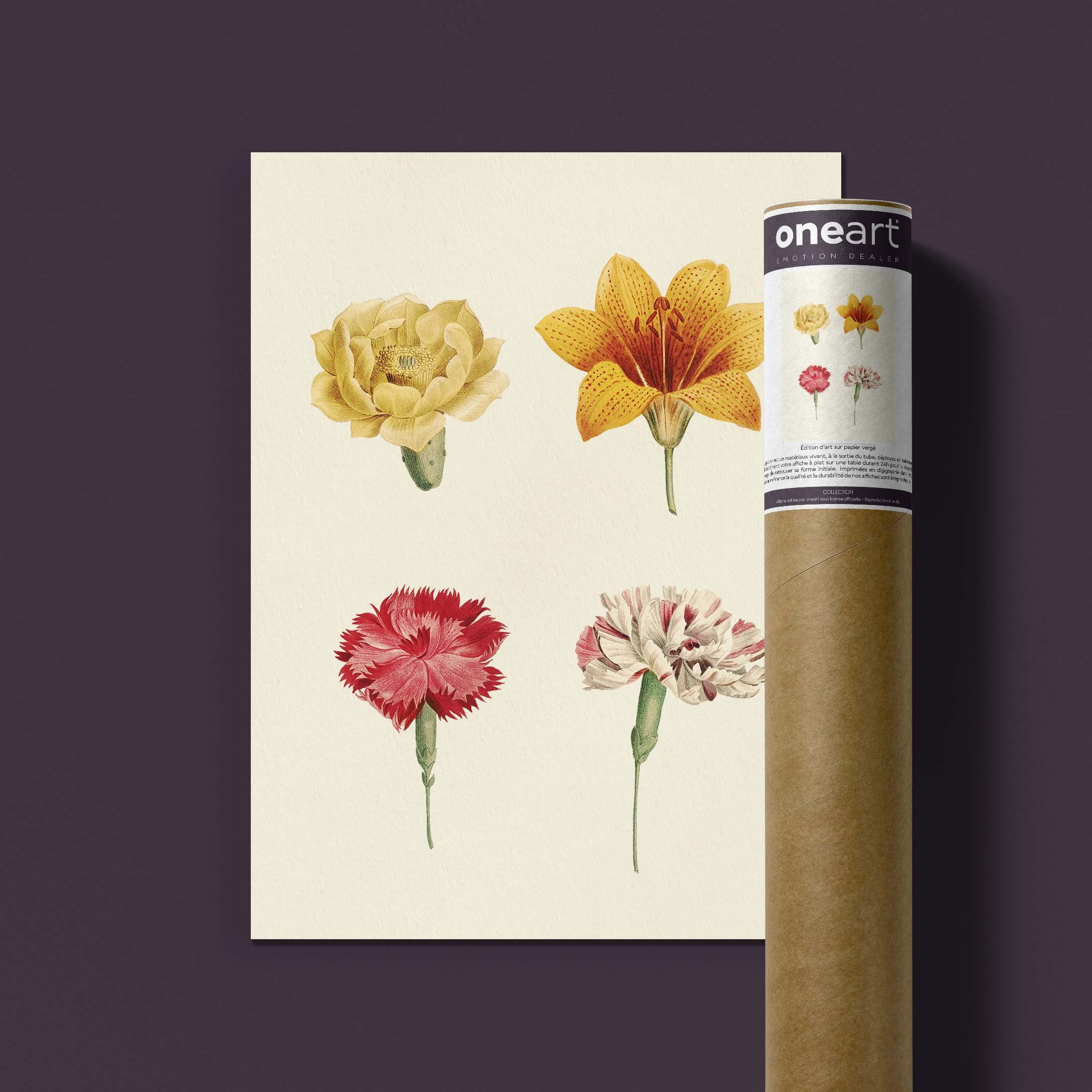 Planche botanique - Composition de fleurs-oneart.fr
