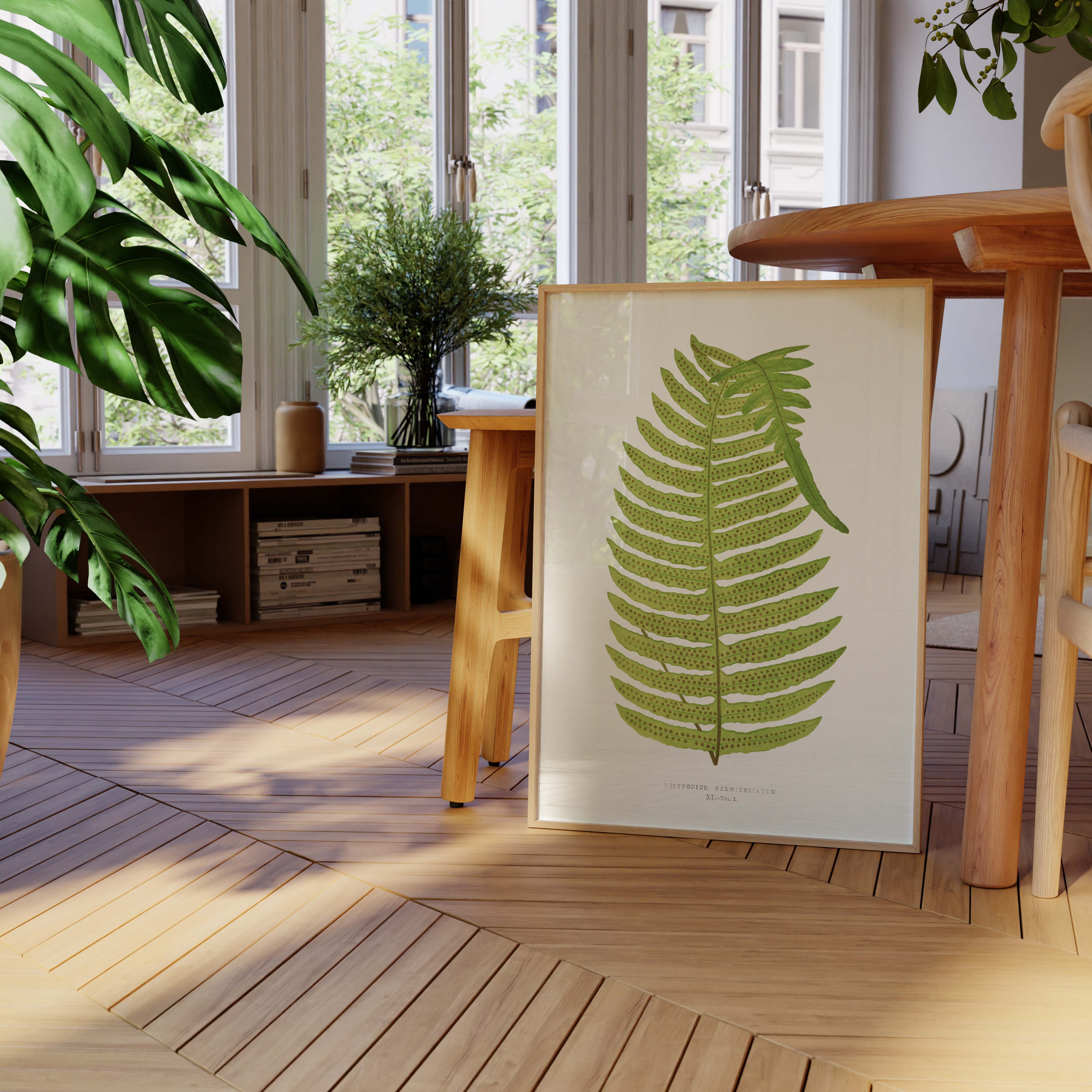 Planche botanique fougère - Polypodium karwinskianum-oneart.fr