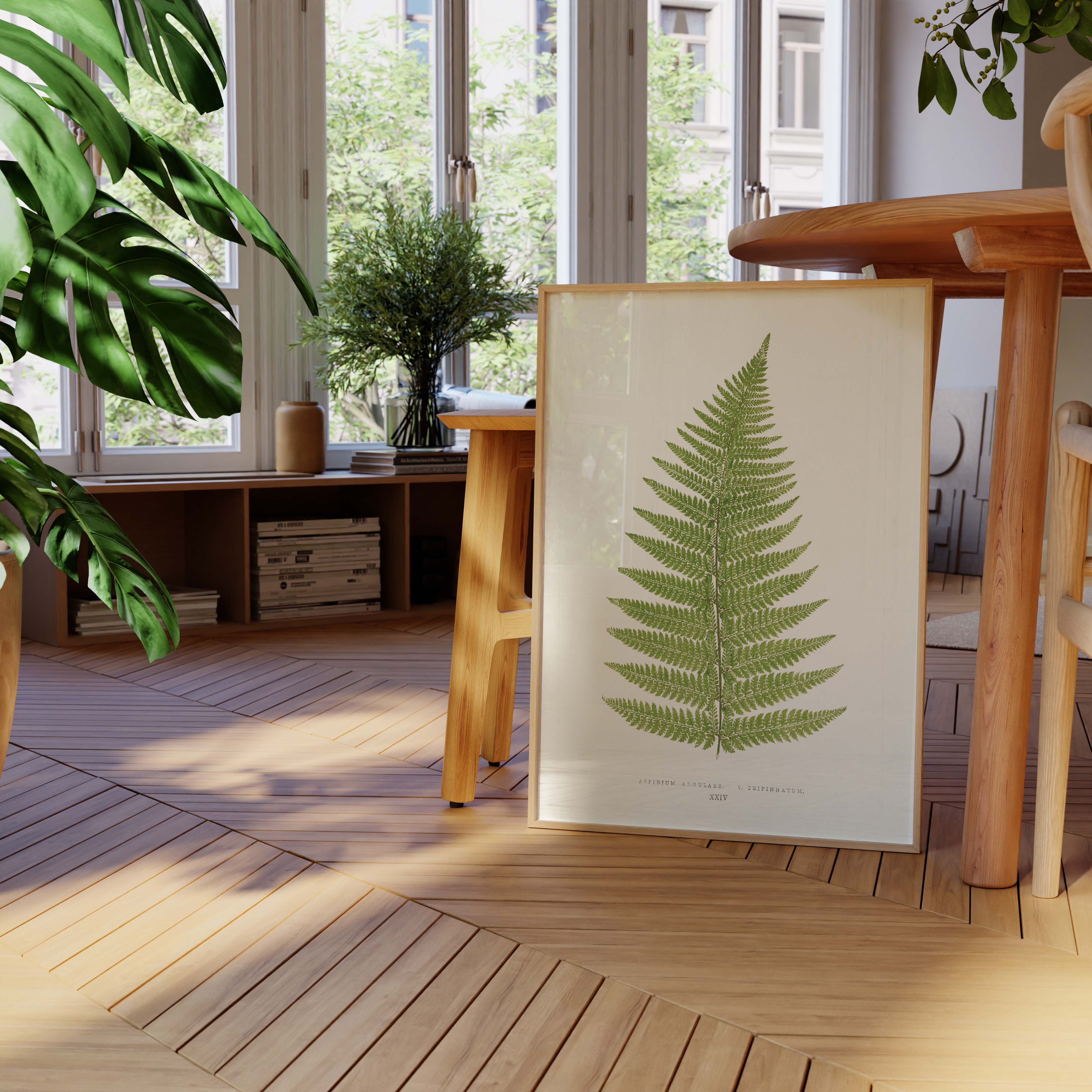 Planche "Les Imparfaits" botanique fougère - Aspidium angulare