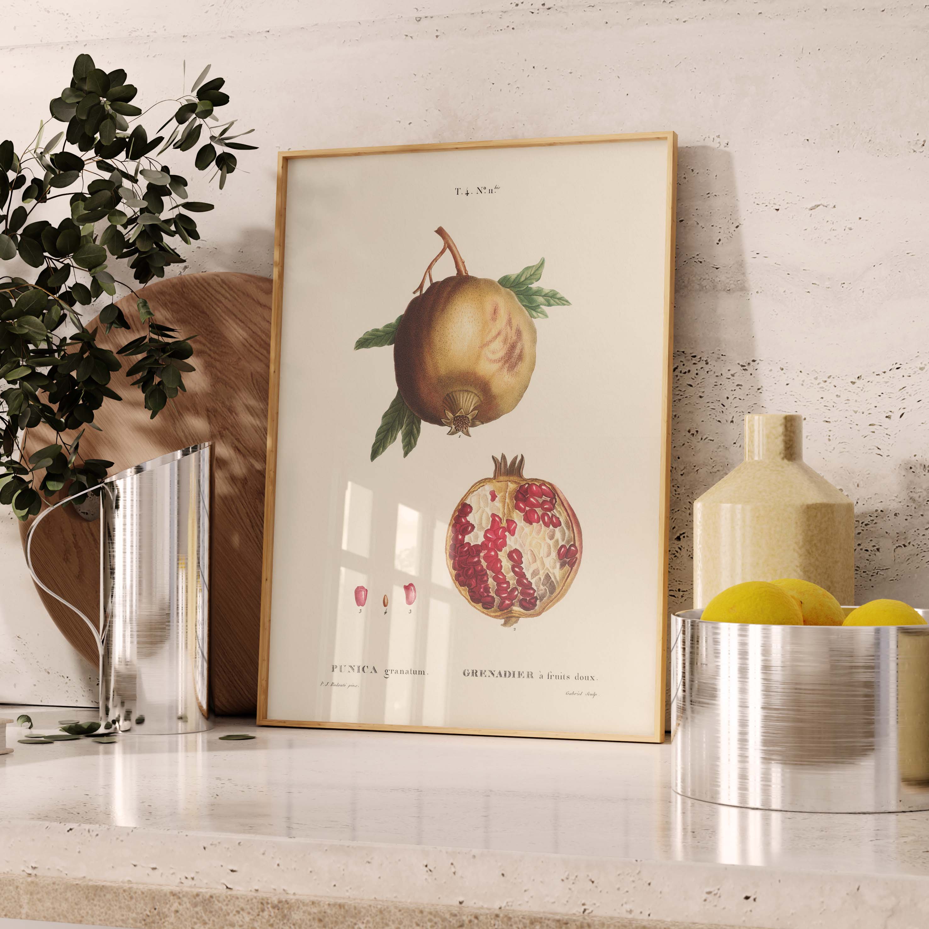 Planche botanique fruit - Grenadier-oneart.fr