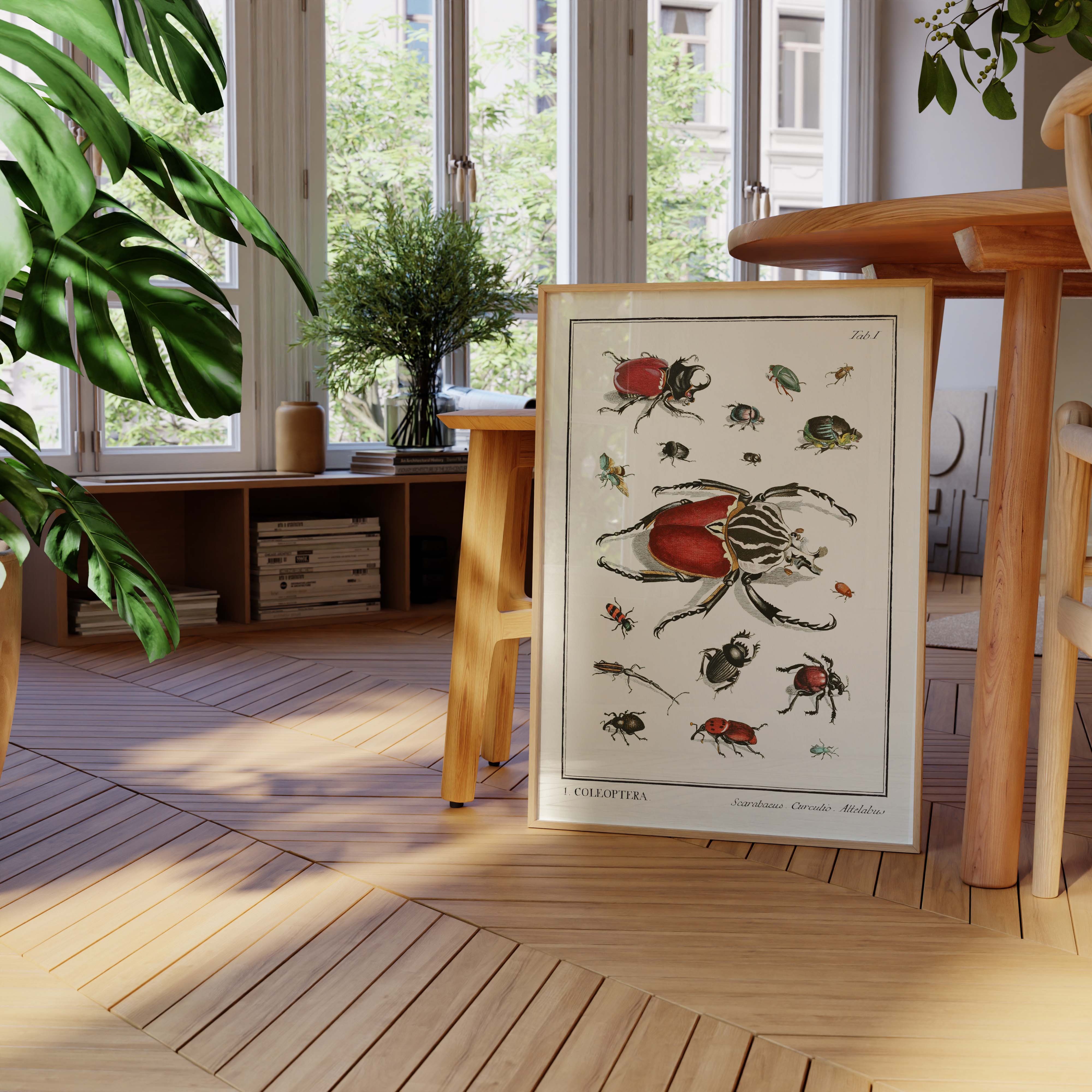 Planche d'entomologie - Coleoptera - 1-oneart.fr