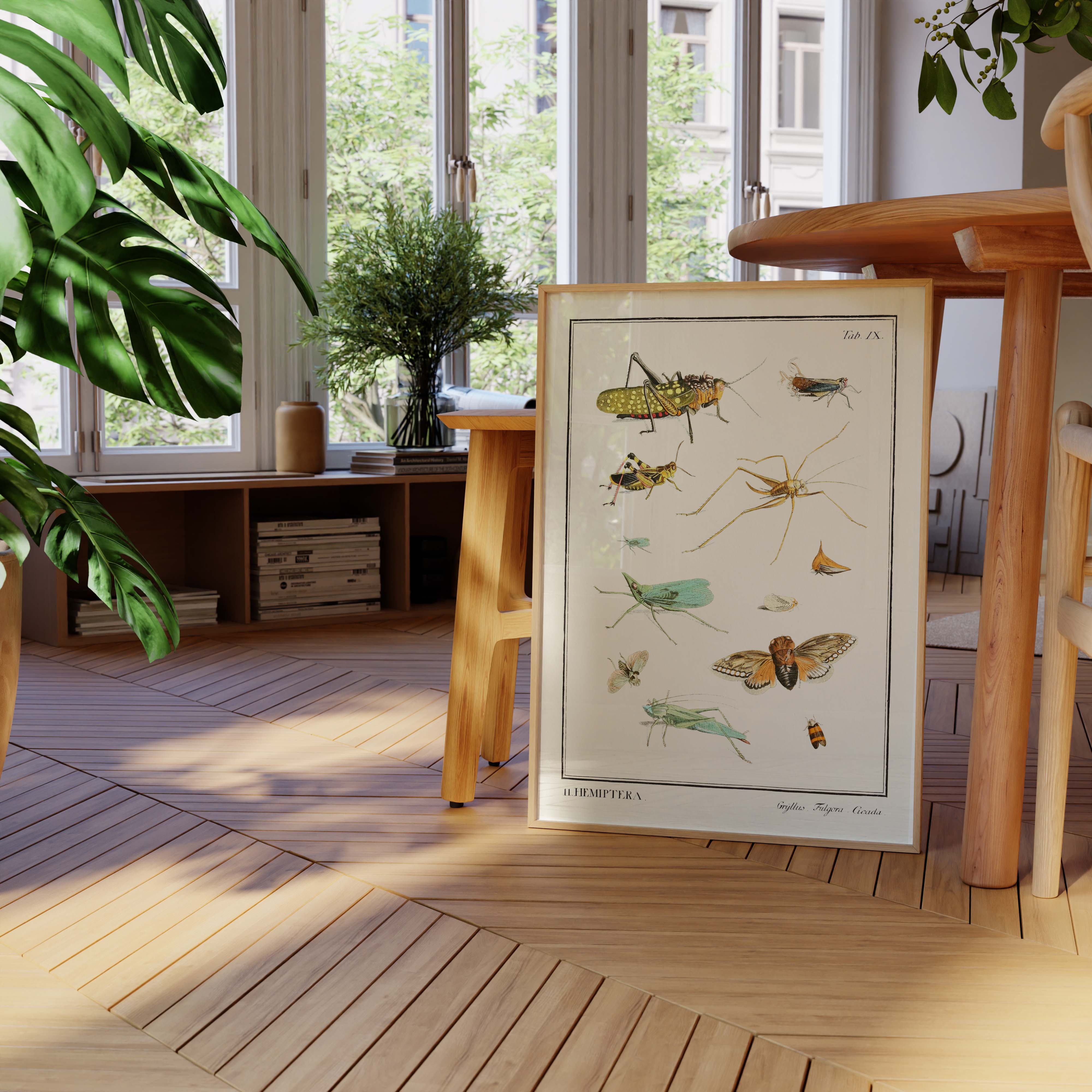 Planche d'entomologie - Hemiptera-oneart.fr