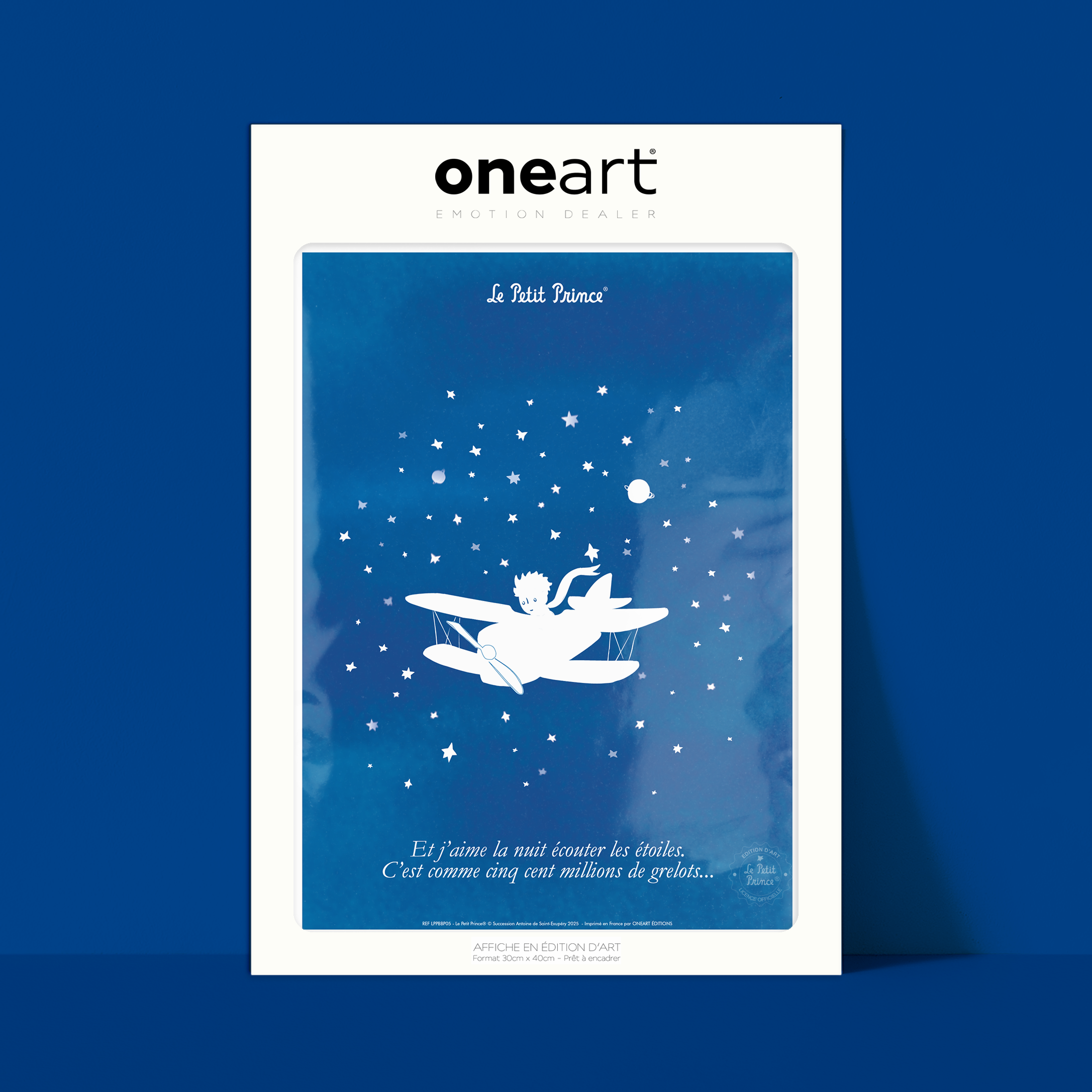 Affiche Le Petit Prince Collection Bleu Blanc Prince Avion