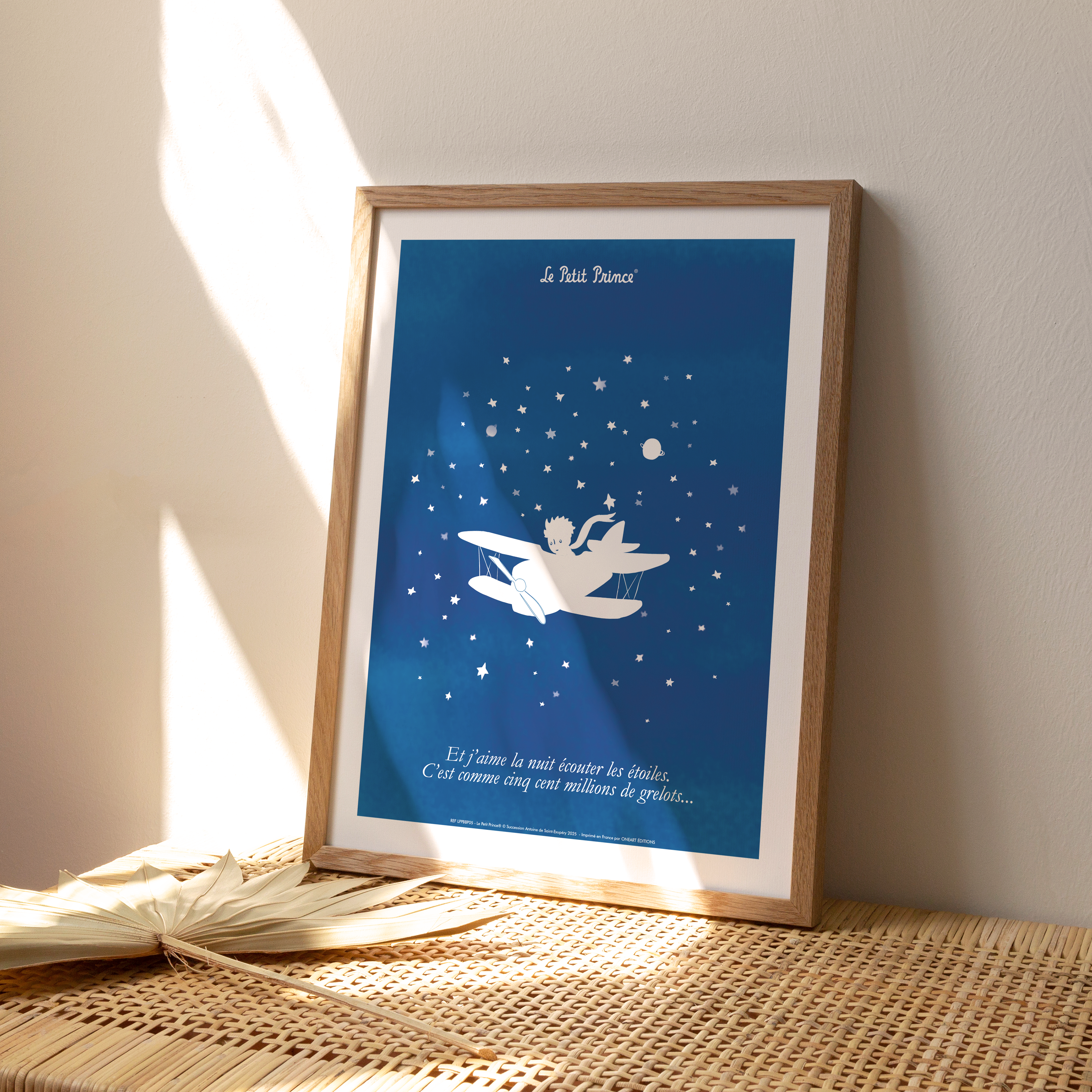 Affiche Le Petit Prince Collection Bleu Blanc Prince Avion