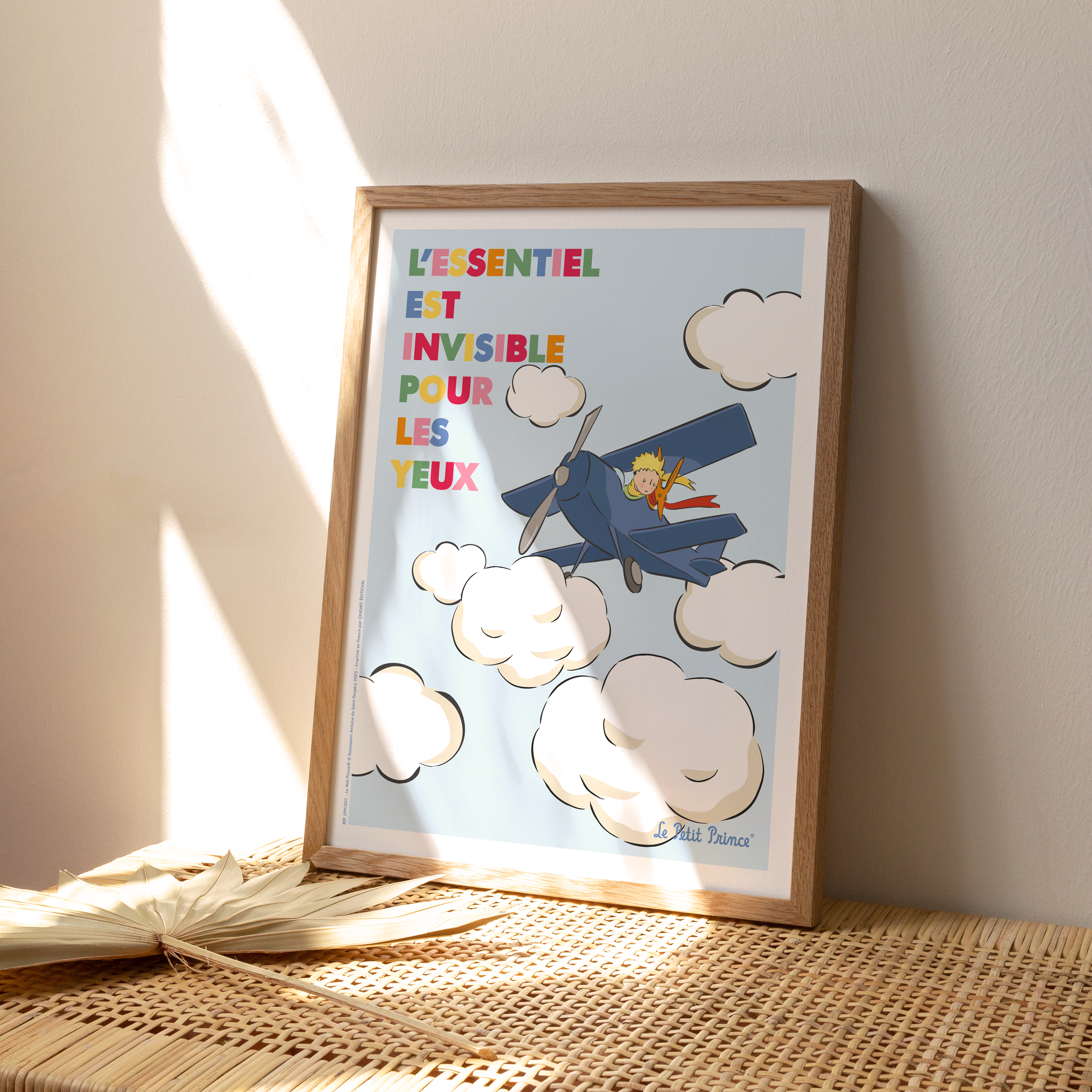 Affiche Le Petit Prince en Couleur, Avion
