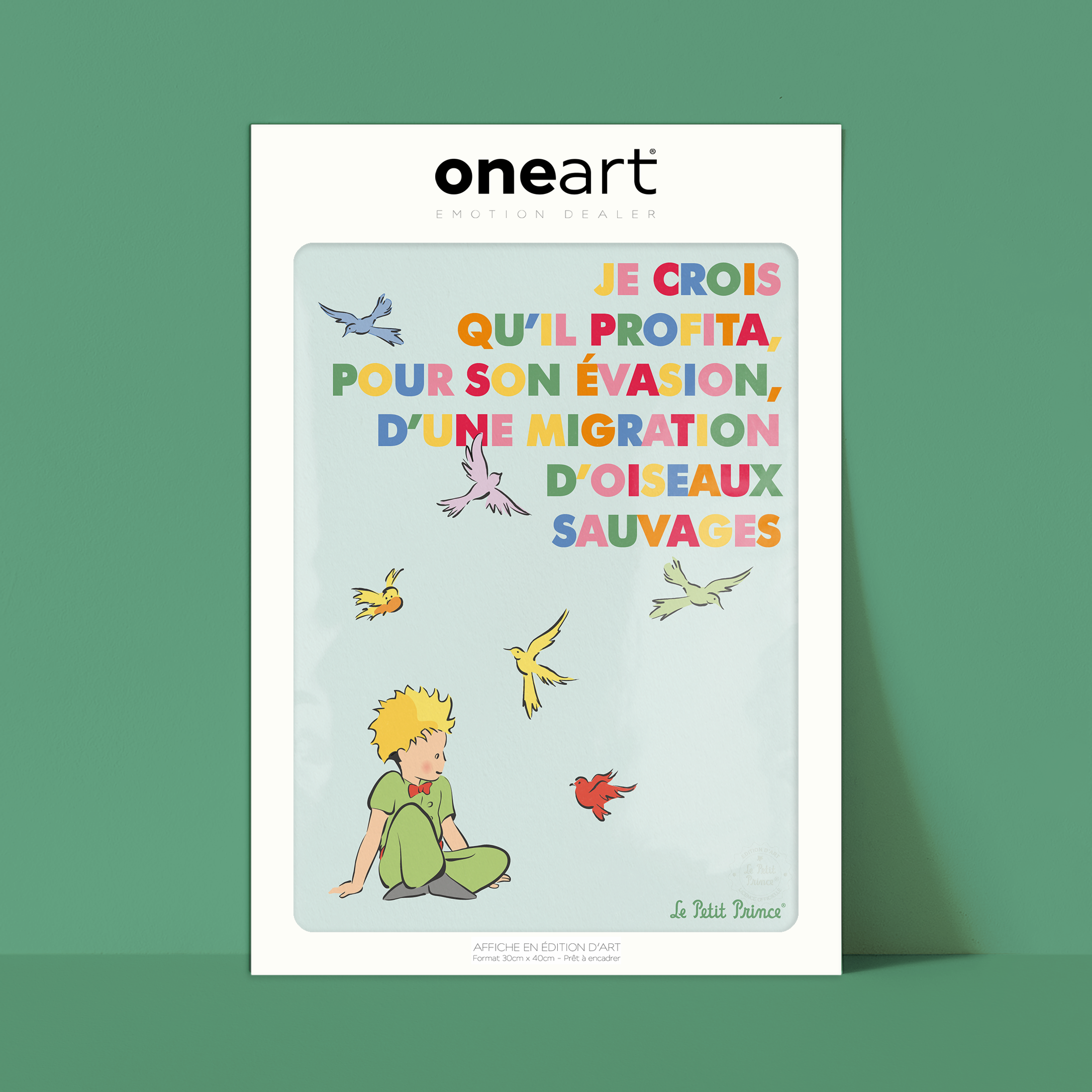 Affiche Le Petit Prince en Couleur, Oiseaux