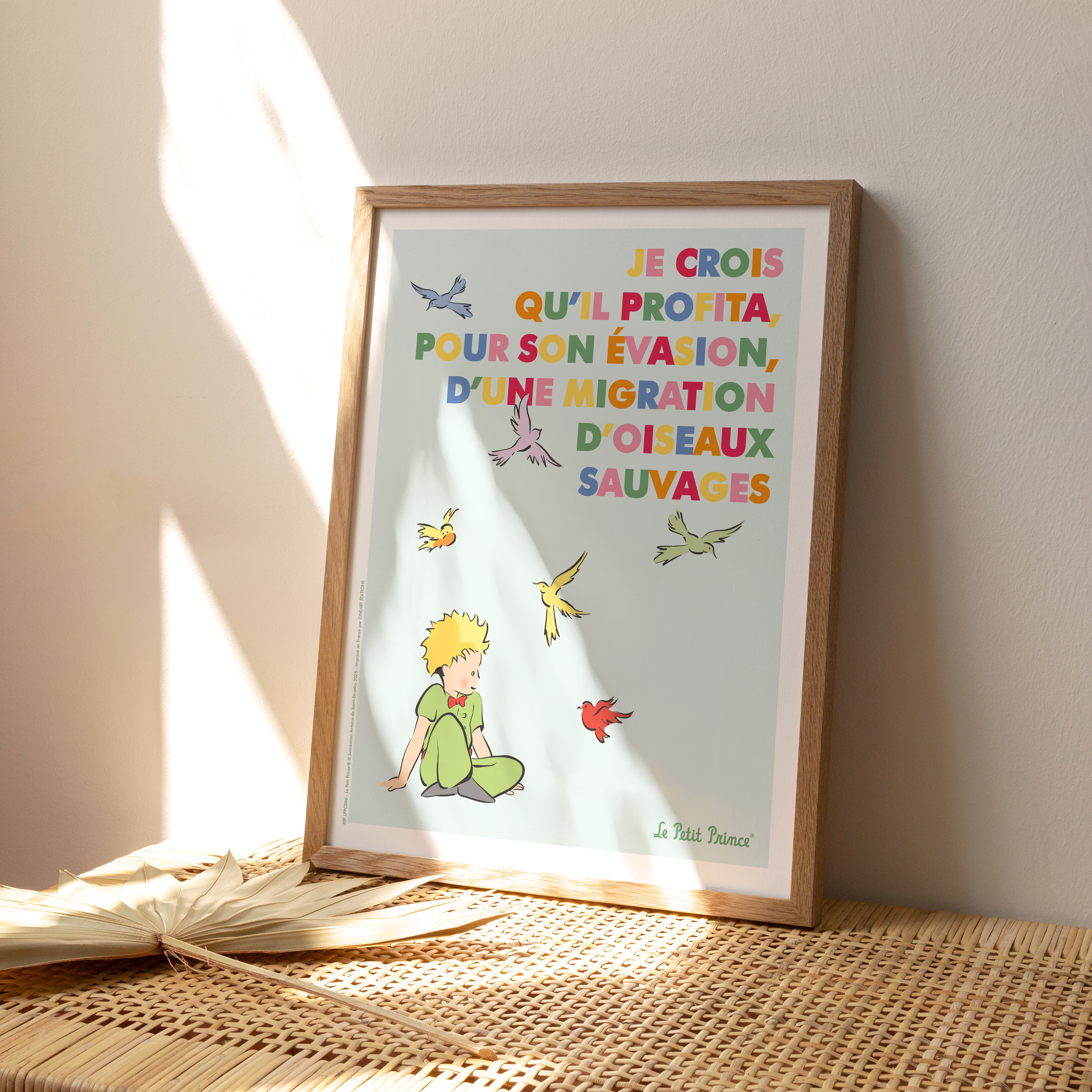 Affiche Le Petit Prince en Couleur, Oiseaux
