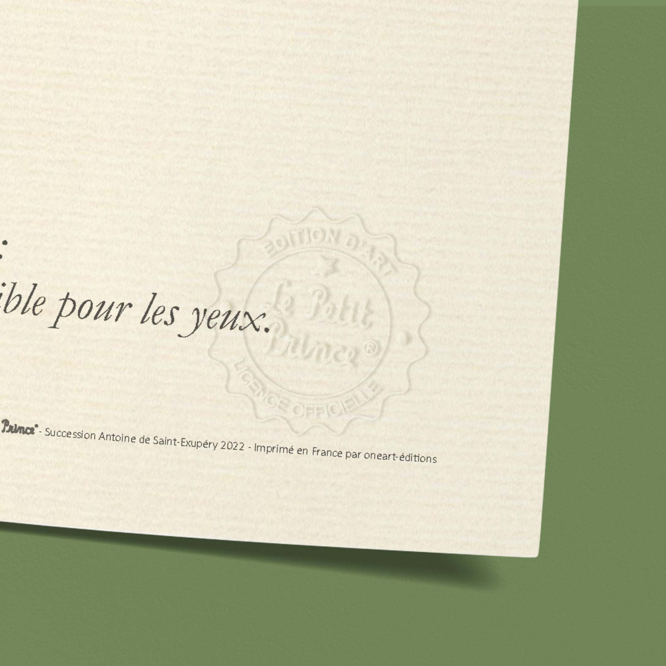 Affiche Le petit prince - Secret, planète-oneart.fr
