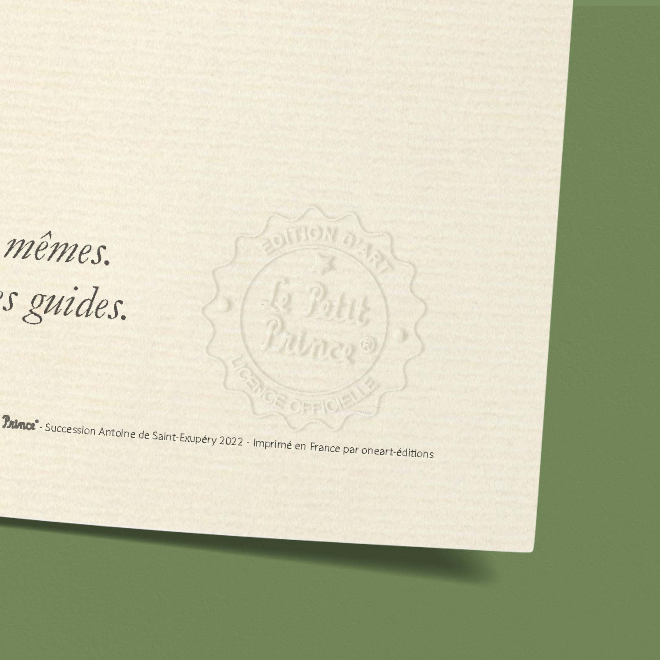 Affiche Le petit prince - Avion, étoiles-oneart.fr