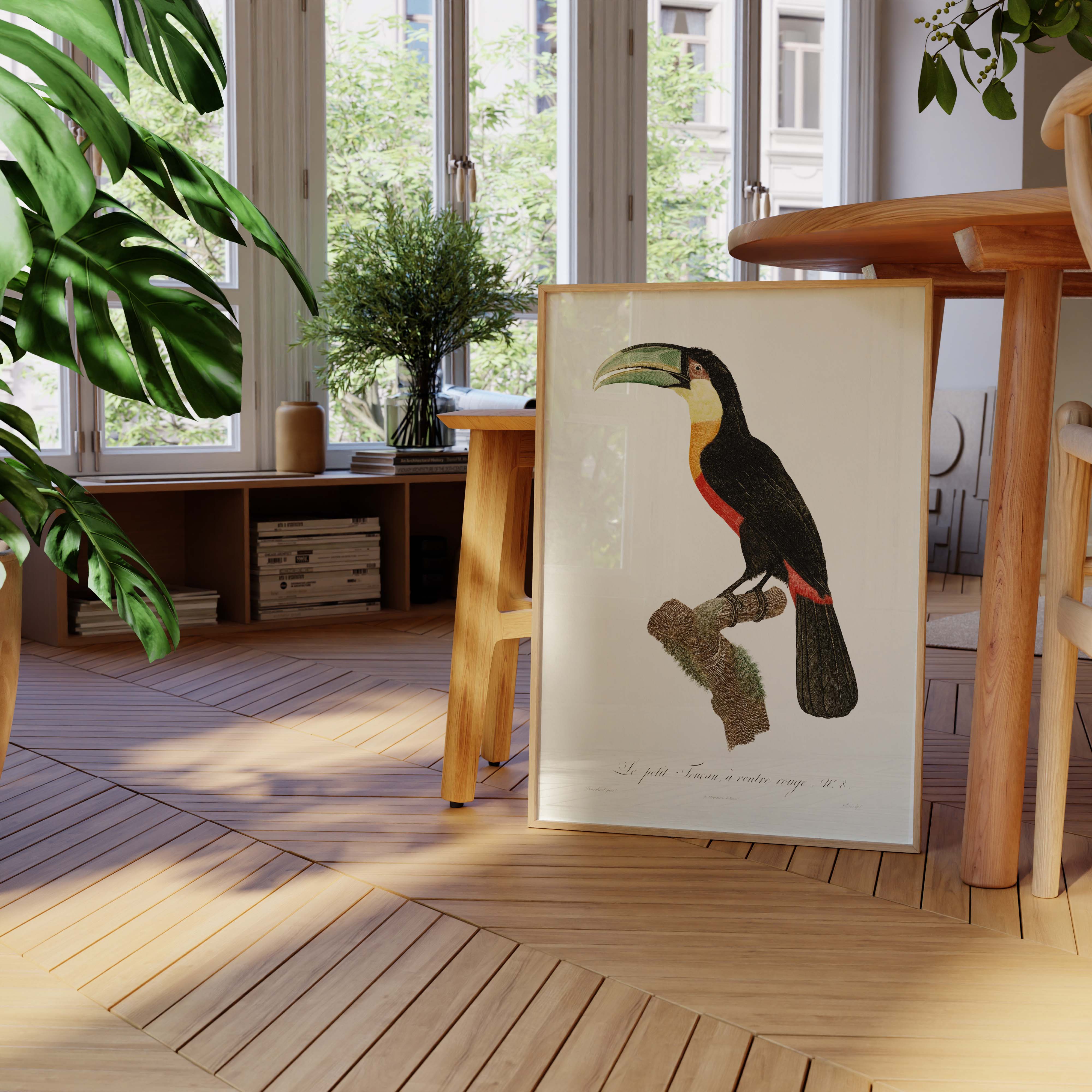 Planche d'ornithologie - Le petit Toucan à ventre rouge-oneart.fr