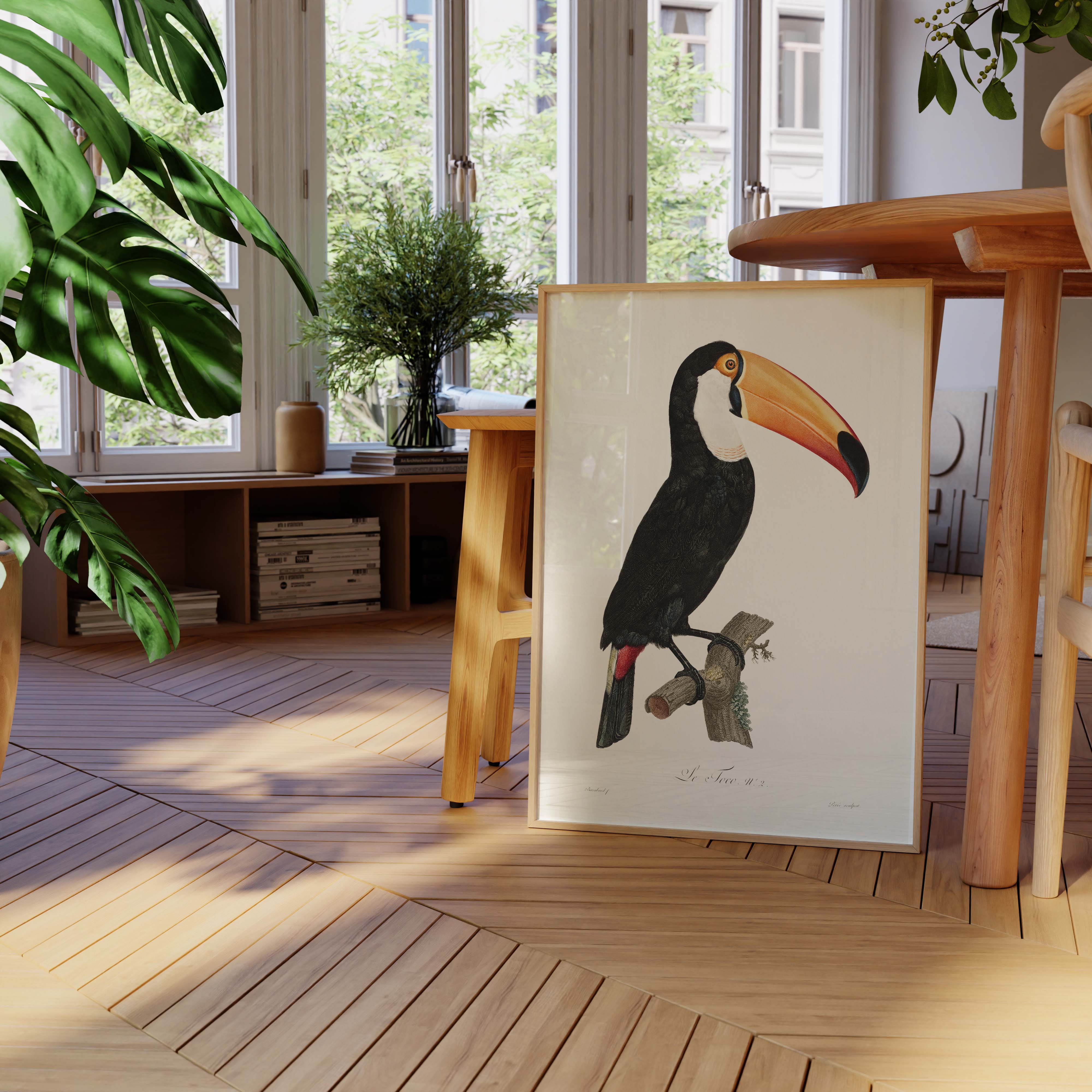Planche d'ornithologie - Le Toco-oneart.fr