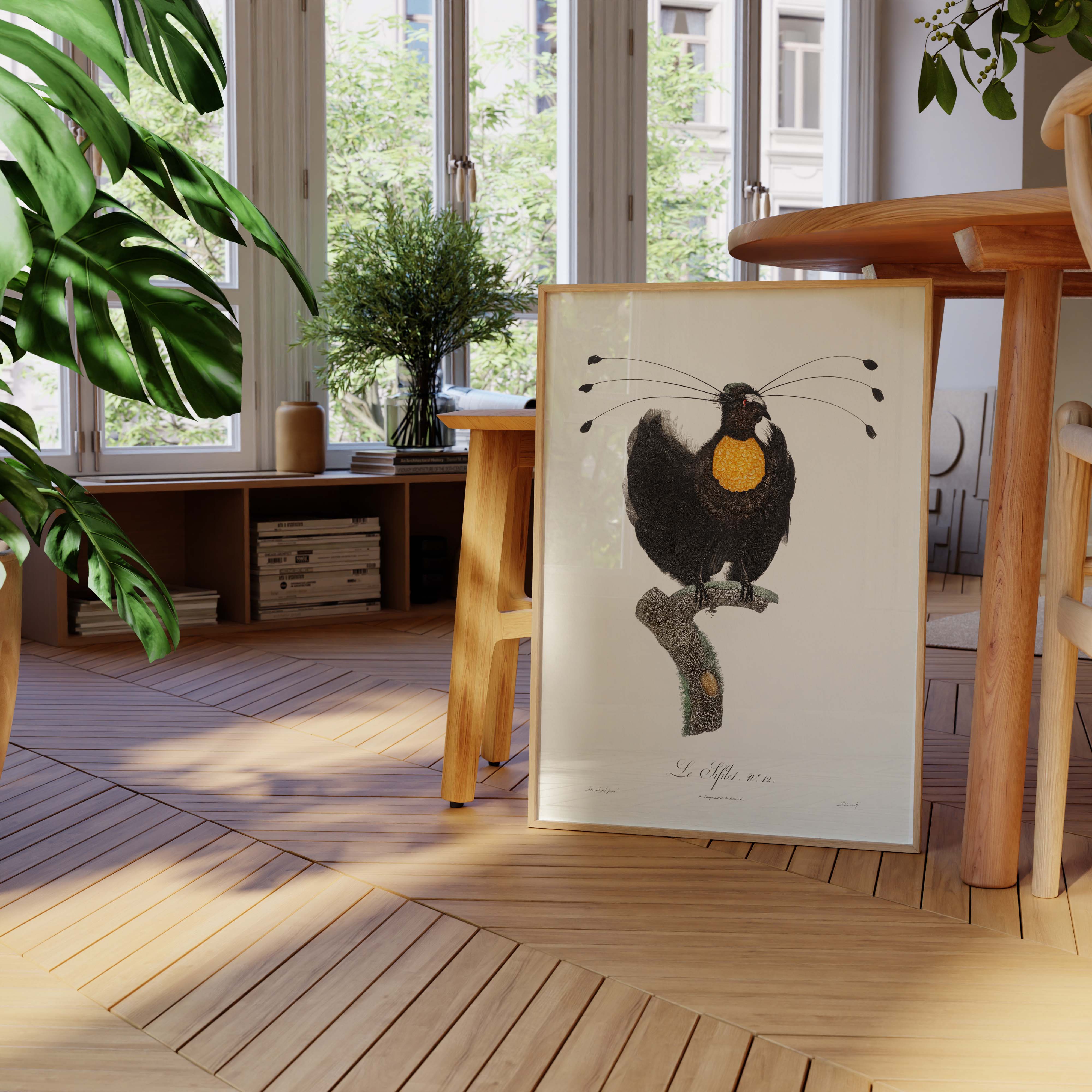 Planche d'ornithologie - Le Sifilet-oneart.fr