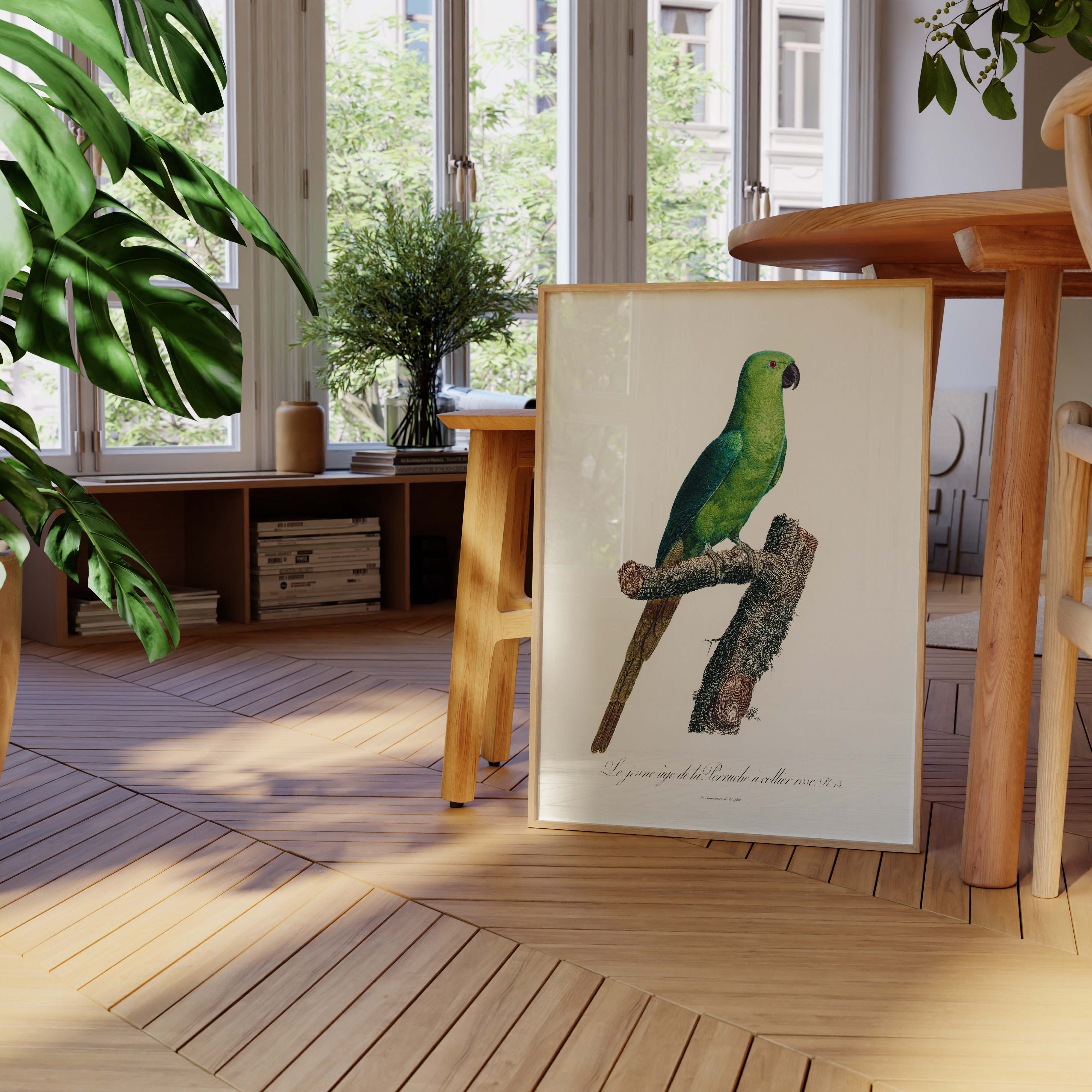 Planche d'ornithologie - La perruche à collier rose-oneart.fr