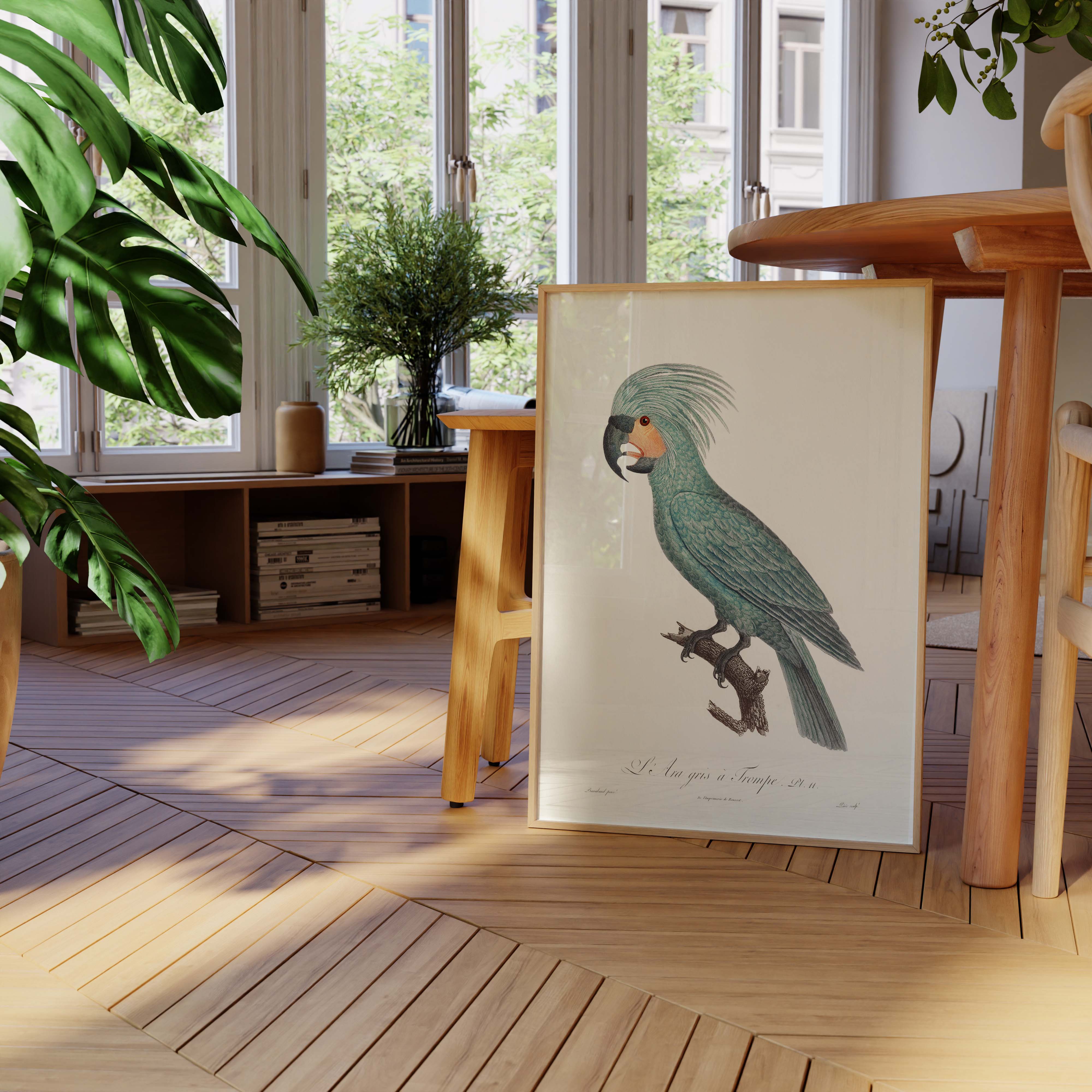 Planche d'ornithologie - L'Ara gris à trompe-oneart.fr