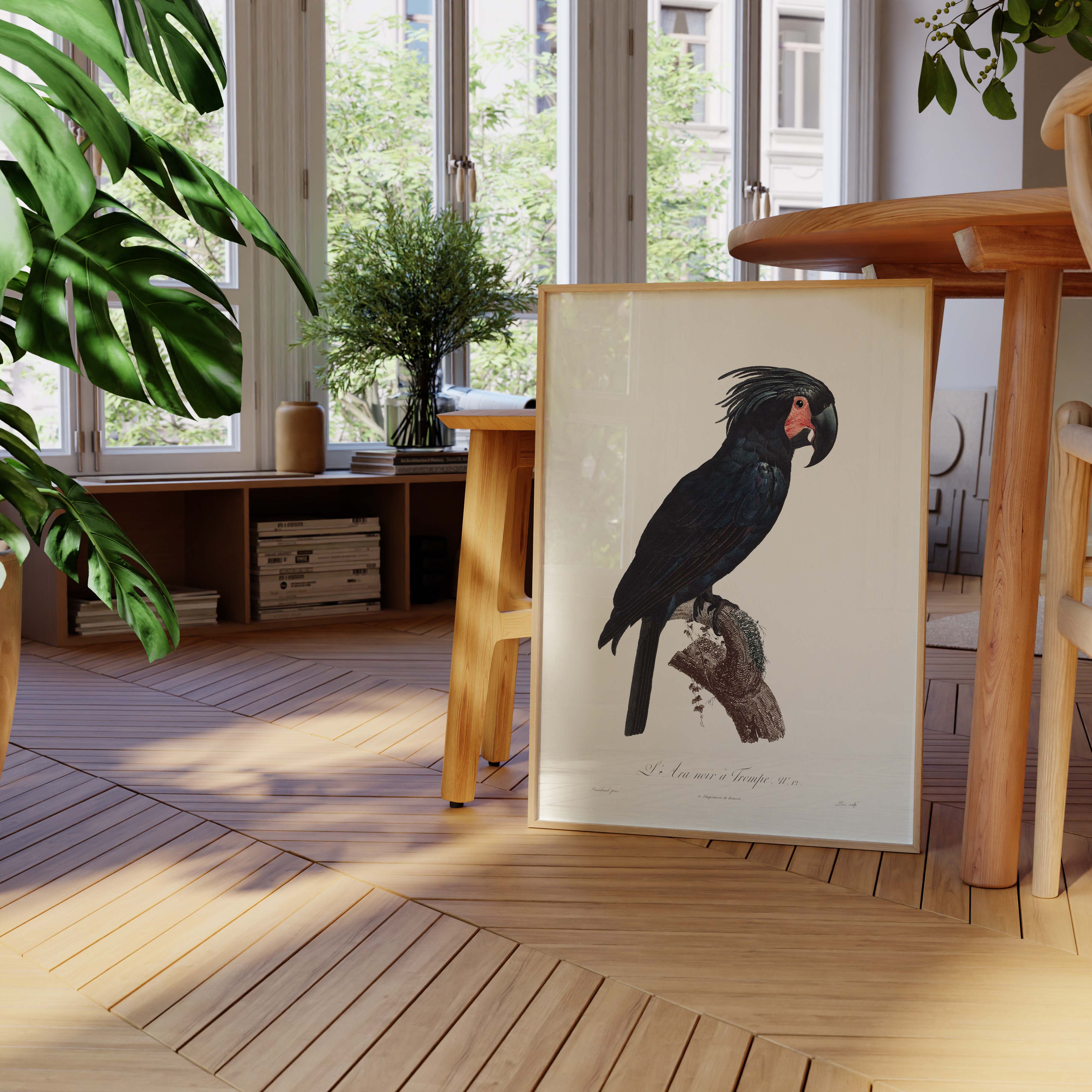 Planche d'ornithologie - L'Ara noir à trompe-oneart.fr