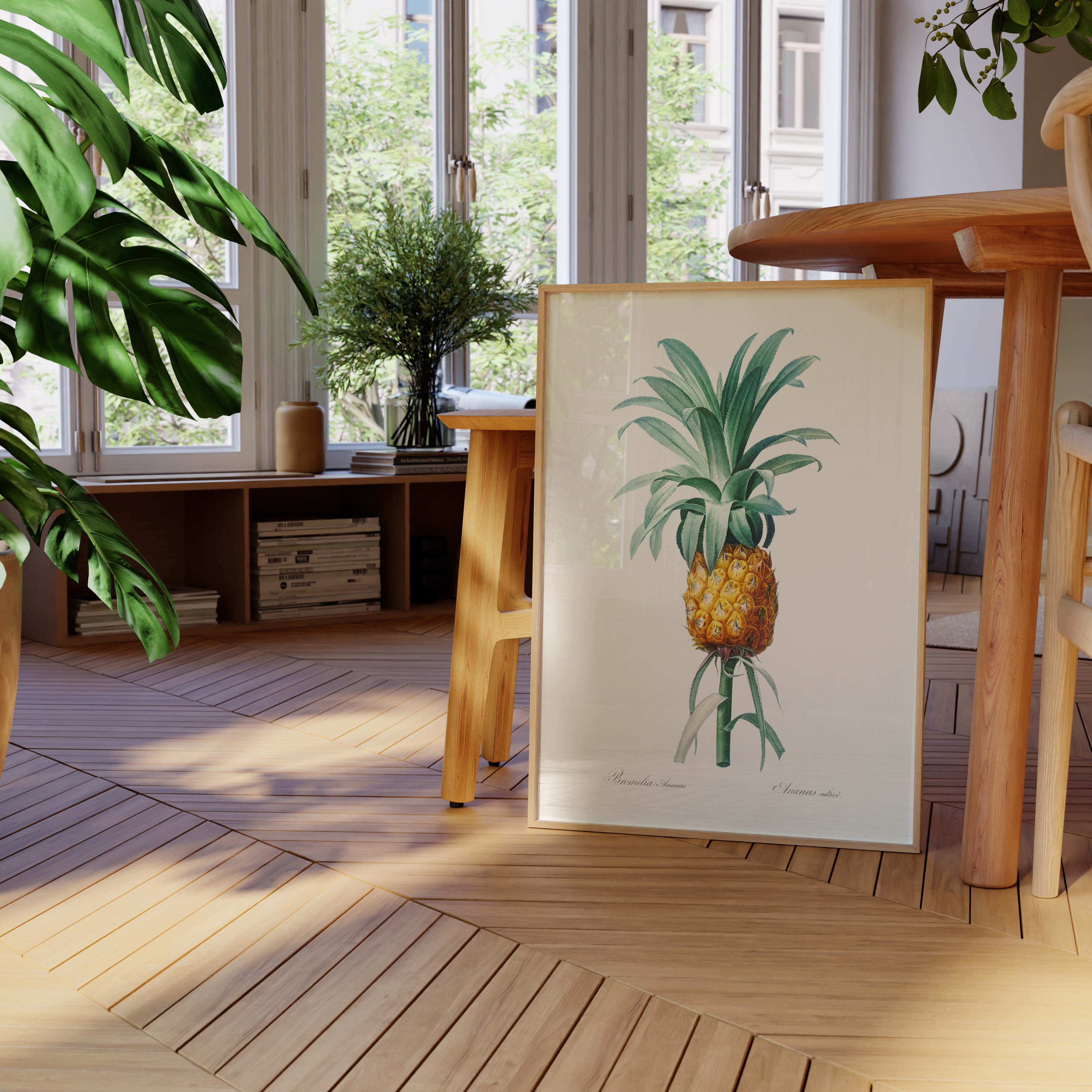 Planche botanique - Ananas cultivé-oneart.fr