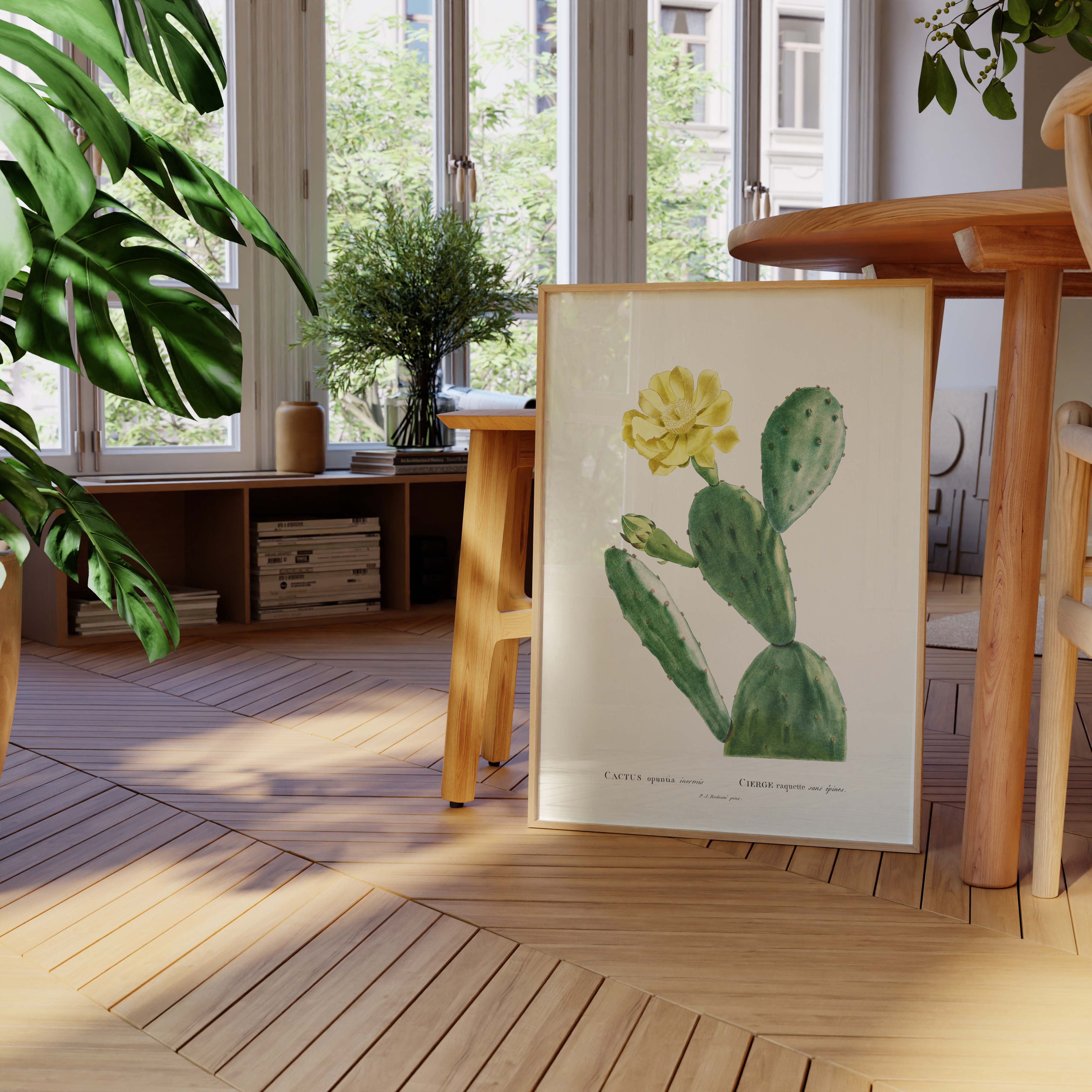 Planche botanique - Cactus opuntia inermis-oneart.fr