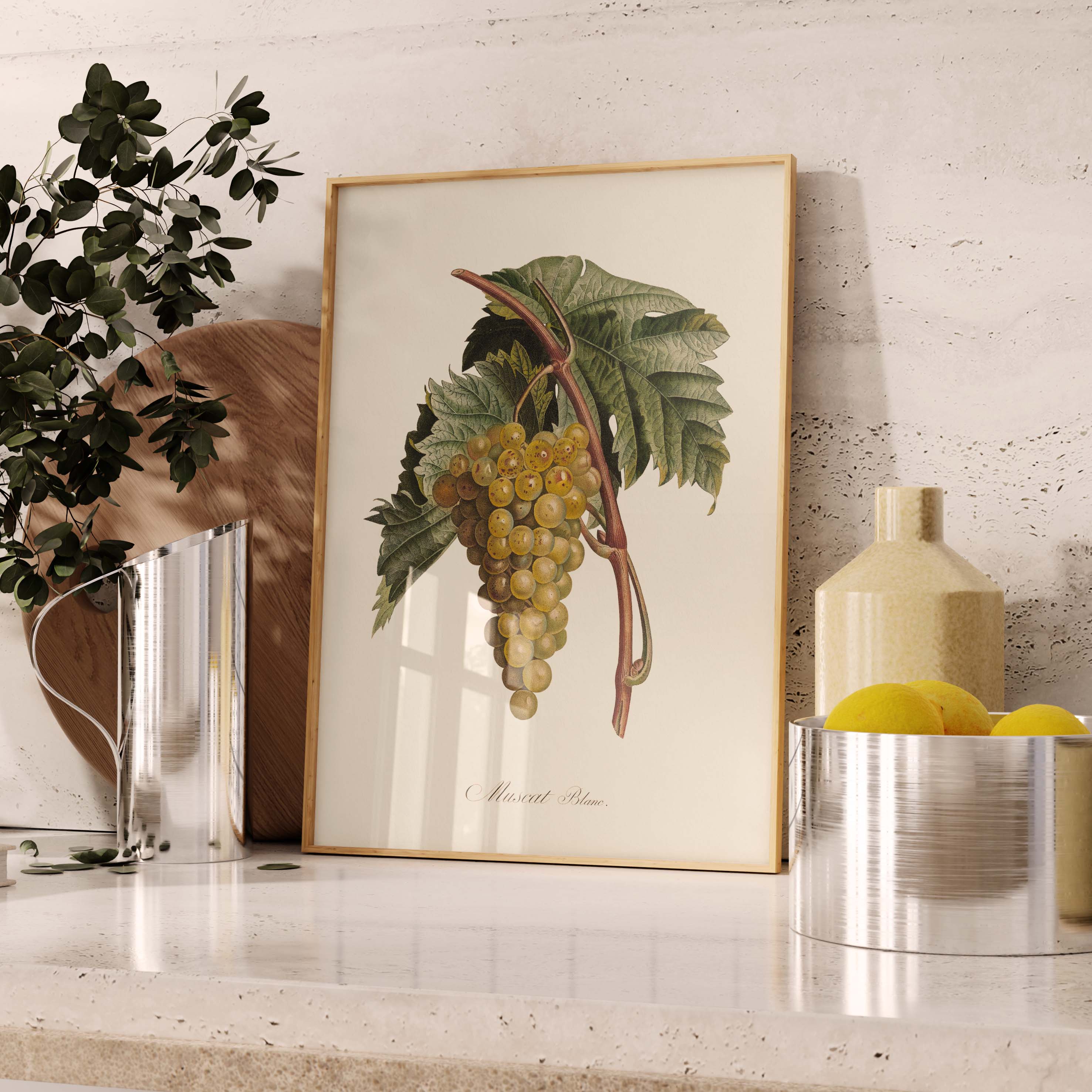 Planche botanique fruit - Muscat blanc-oneart.fr
