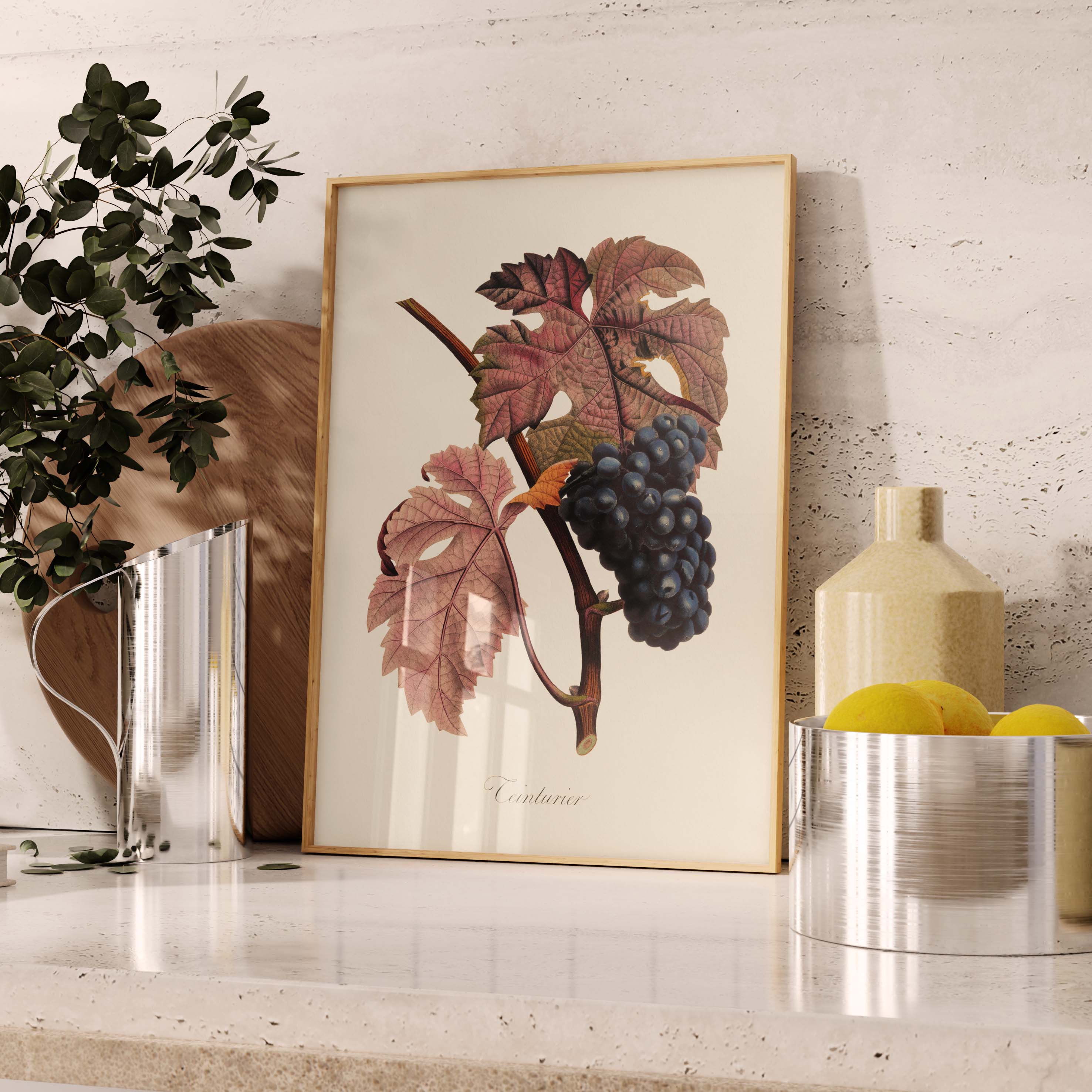 Planche botanique fruit - Teinturier-oneart.fr