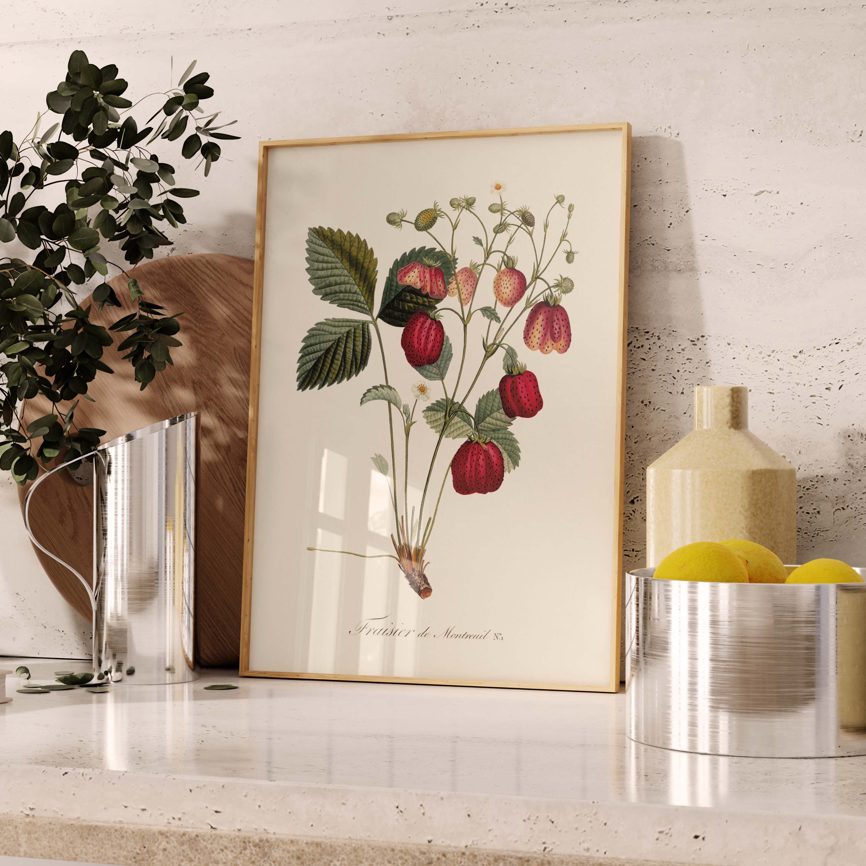 Planche "Les Imparfaits" botanique fruit - Fraisier de Montreuil