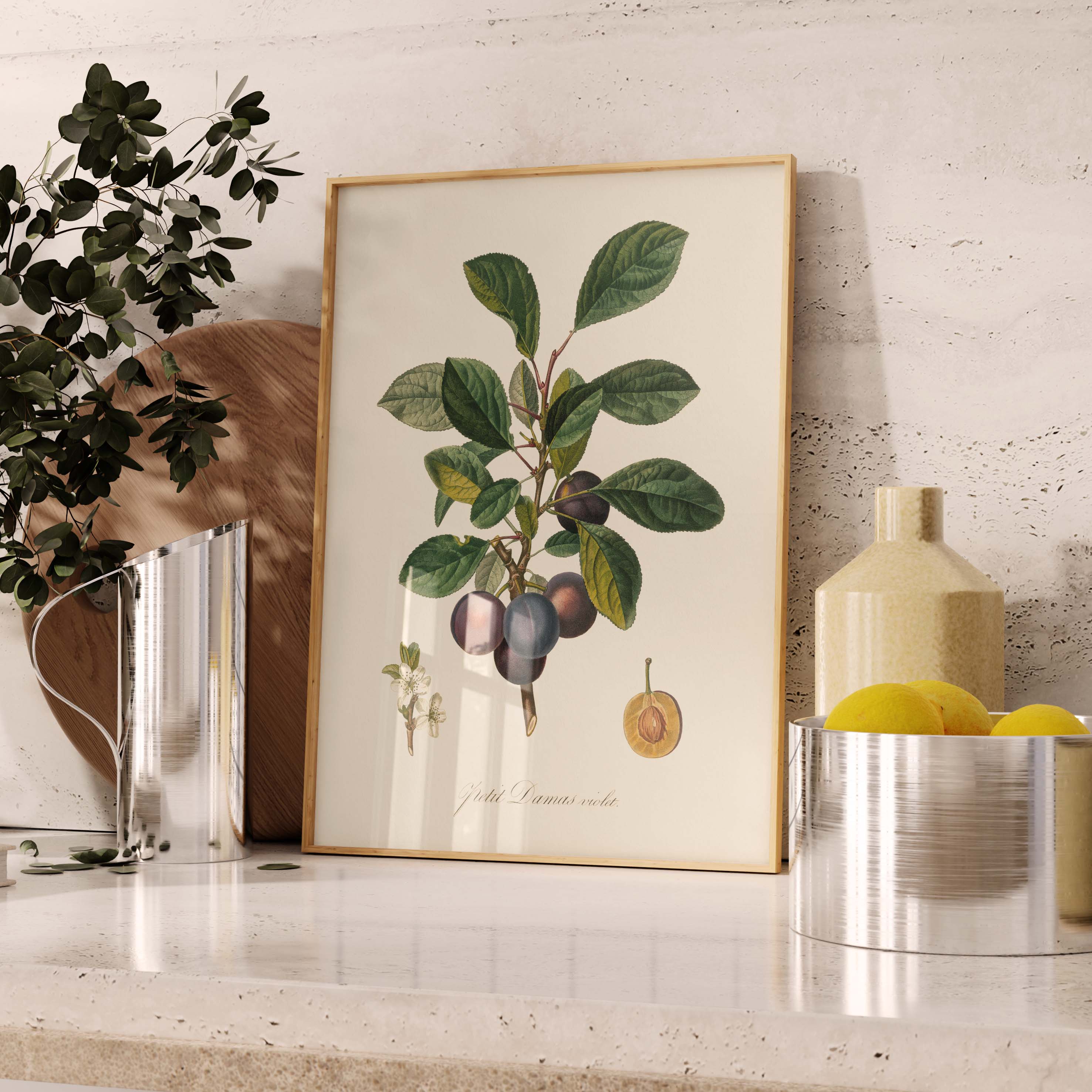 Planche botanique fruit - Petit damas violet-oneart.fr