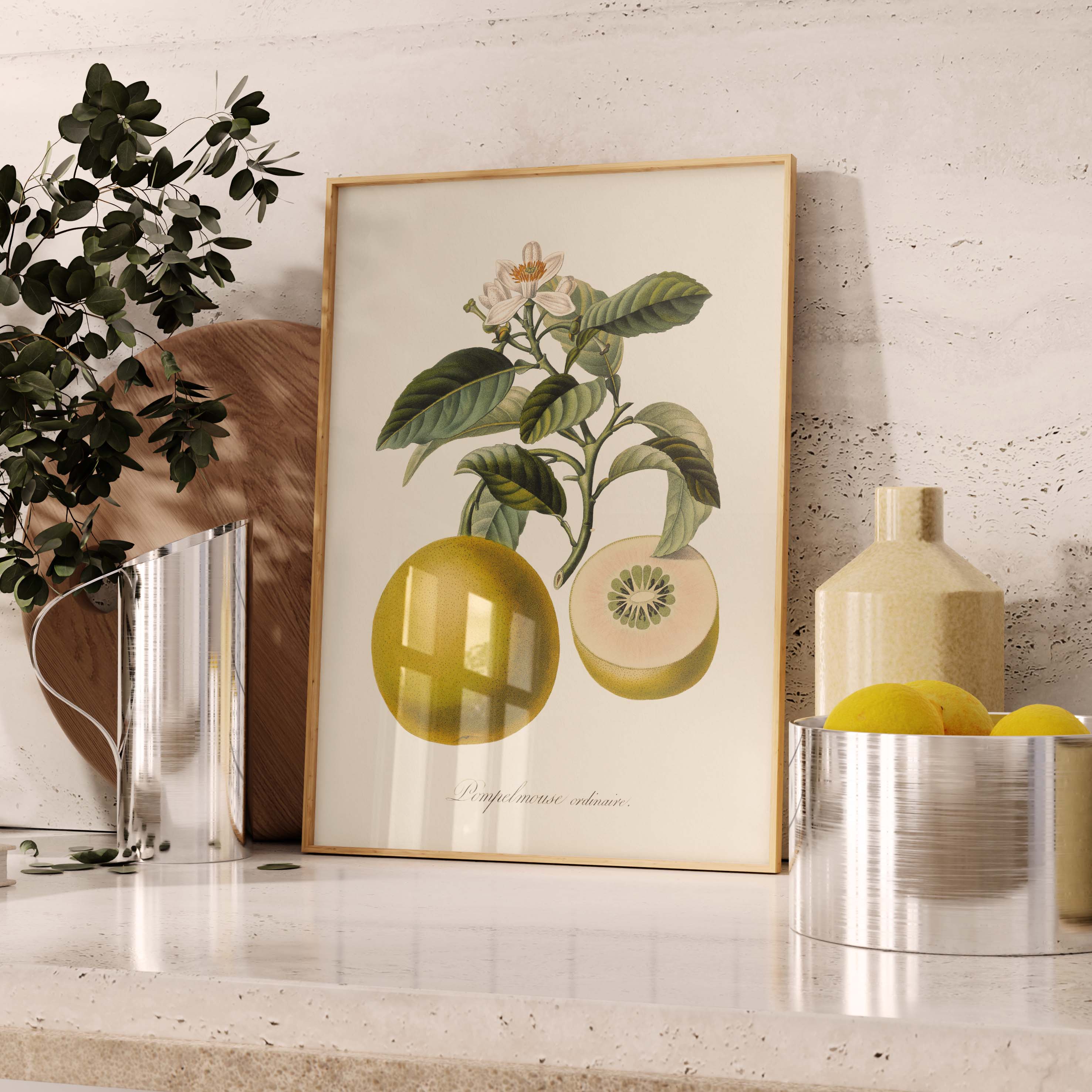 Planche "Les Imparfaits" botanique fruit - Pamplemousse