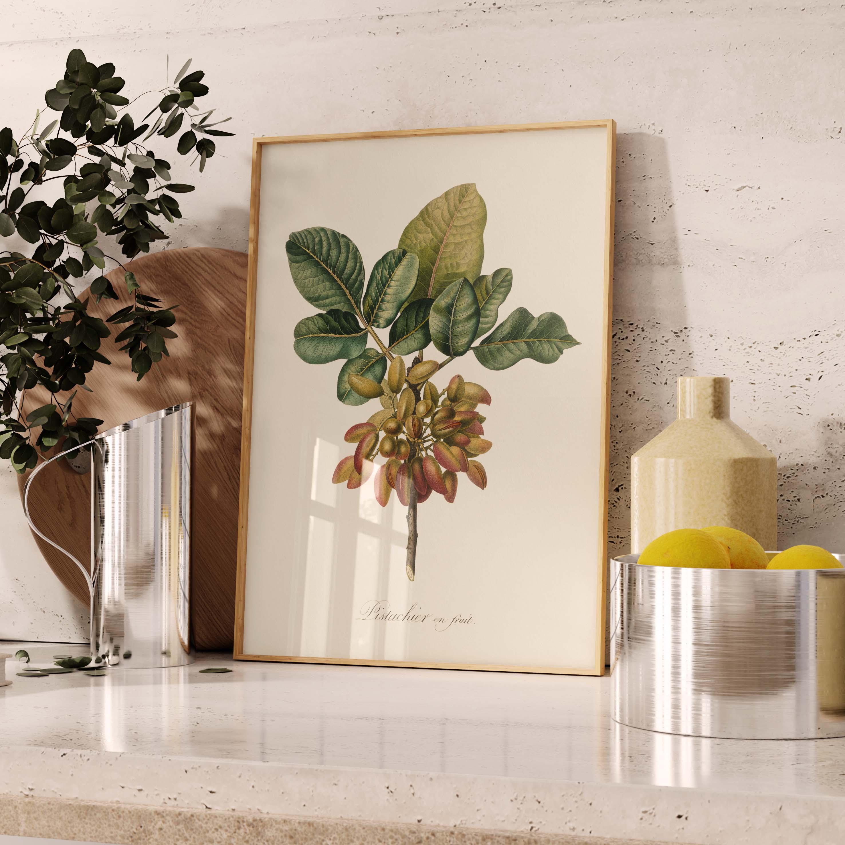 Planche botanique fruit - Pistachier en fruit-oneart.fr