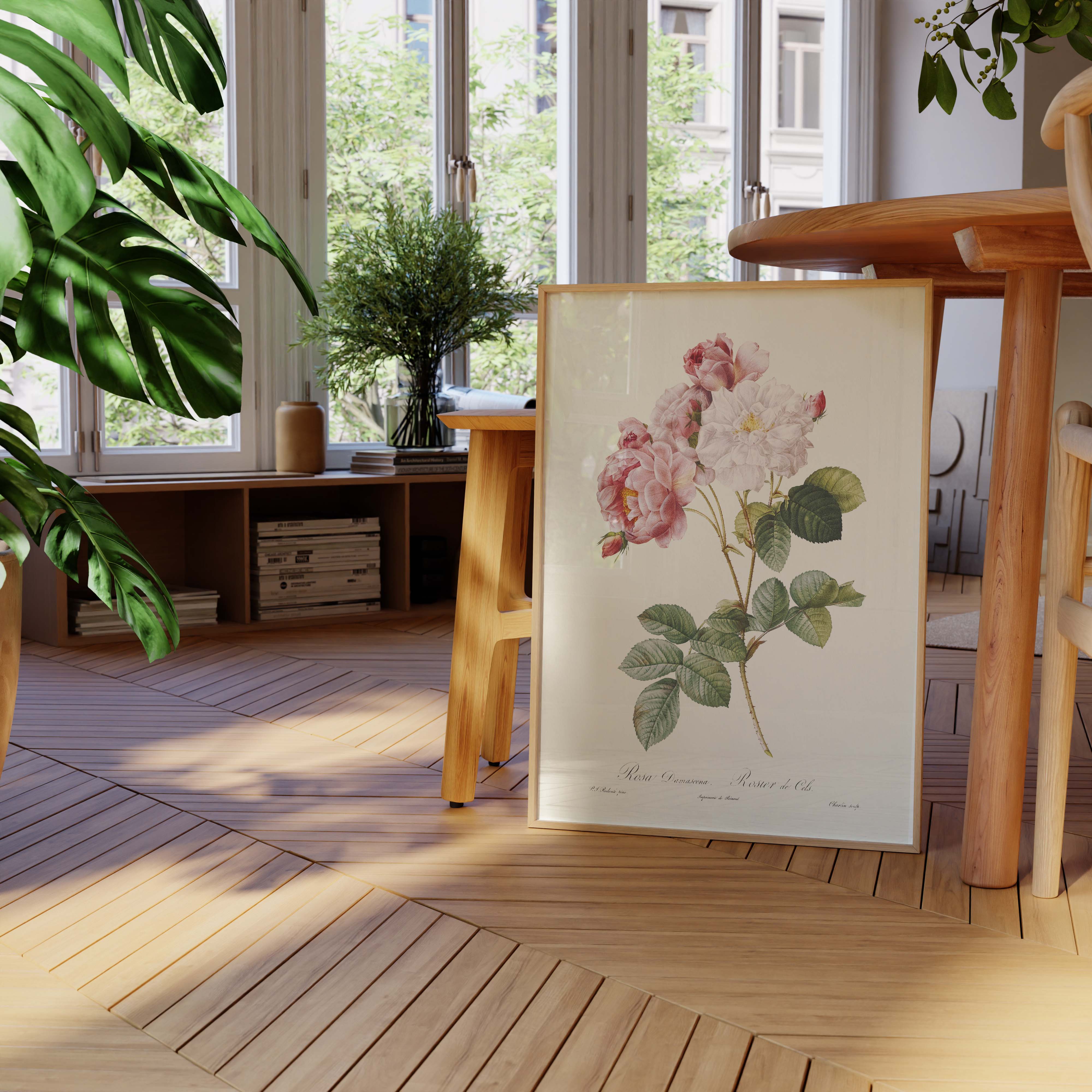 Planche botanique - Rosier de Cels-oneart.fr