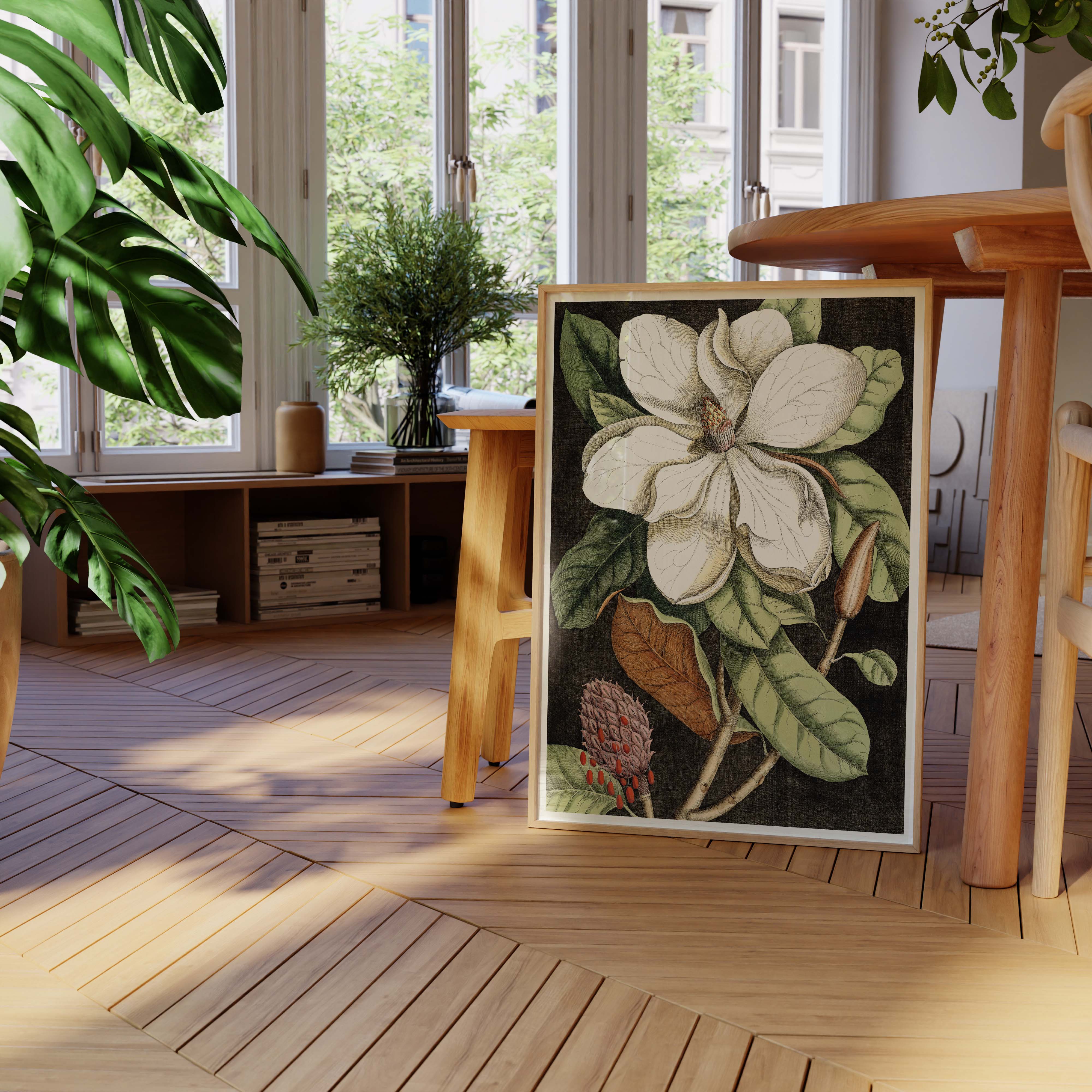 Planche botanique - Magnolia-oneart.fr