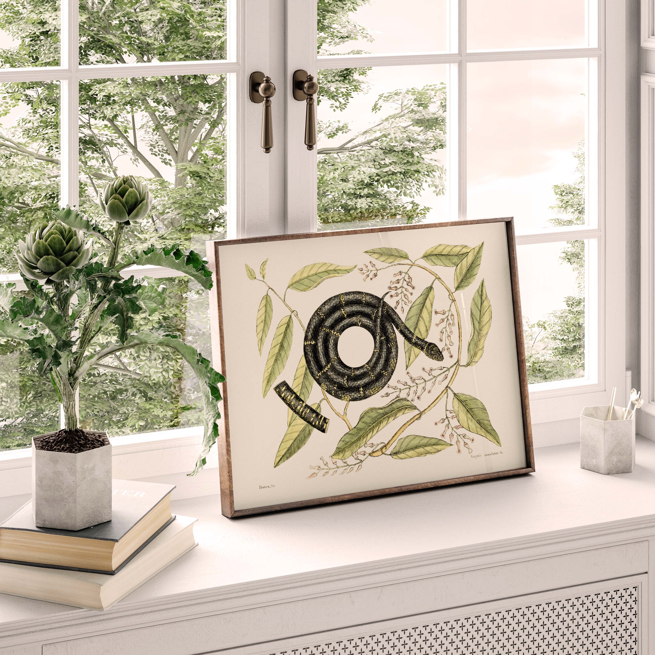 Planche "Les Imparfaits" botanique - Serpent roi de l'Est